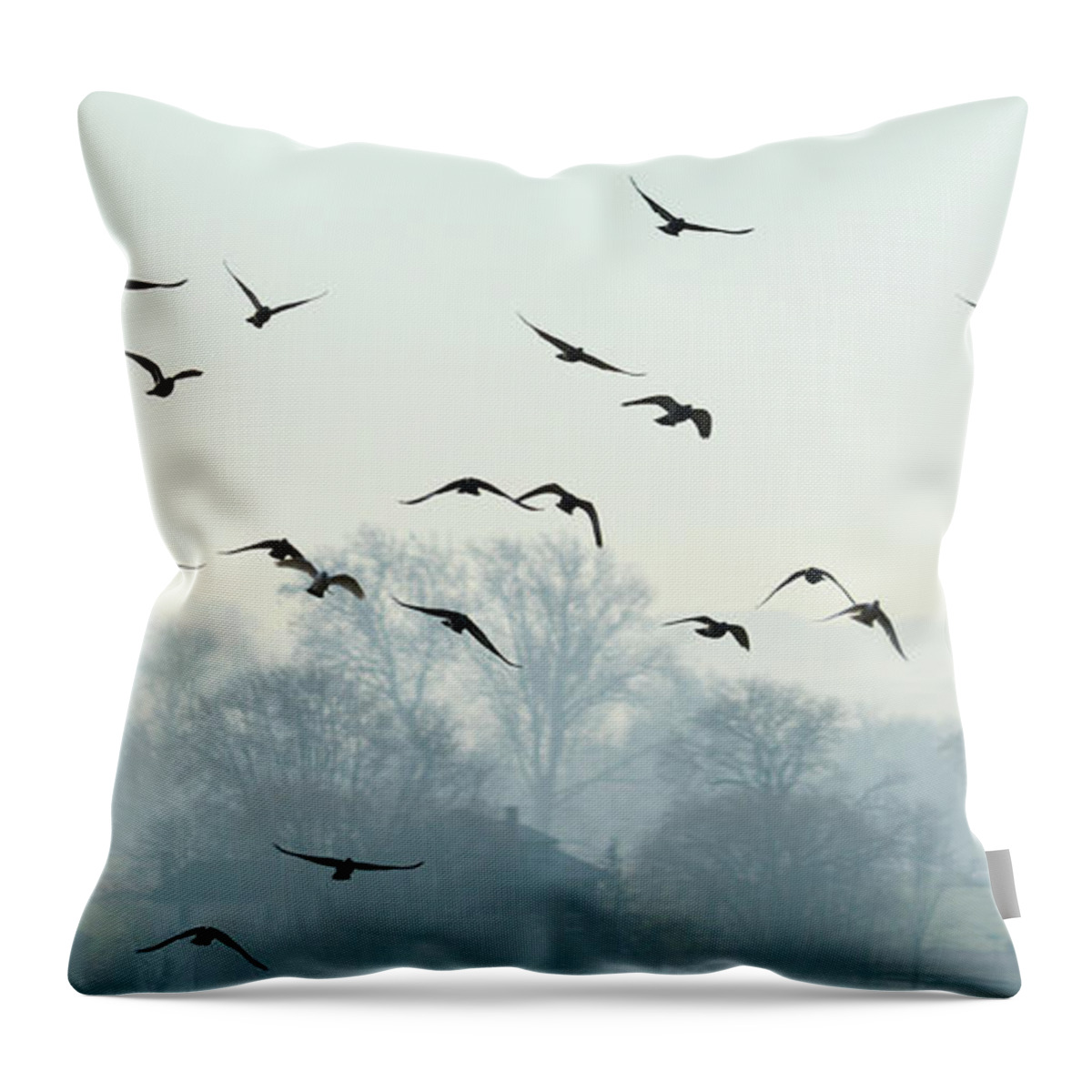 Birds Throw Pillow featuring the photograph Blue Migration by Tana Reiff