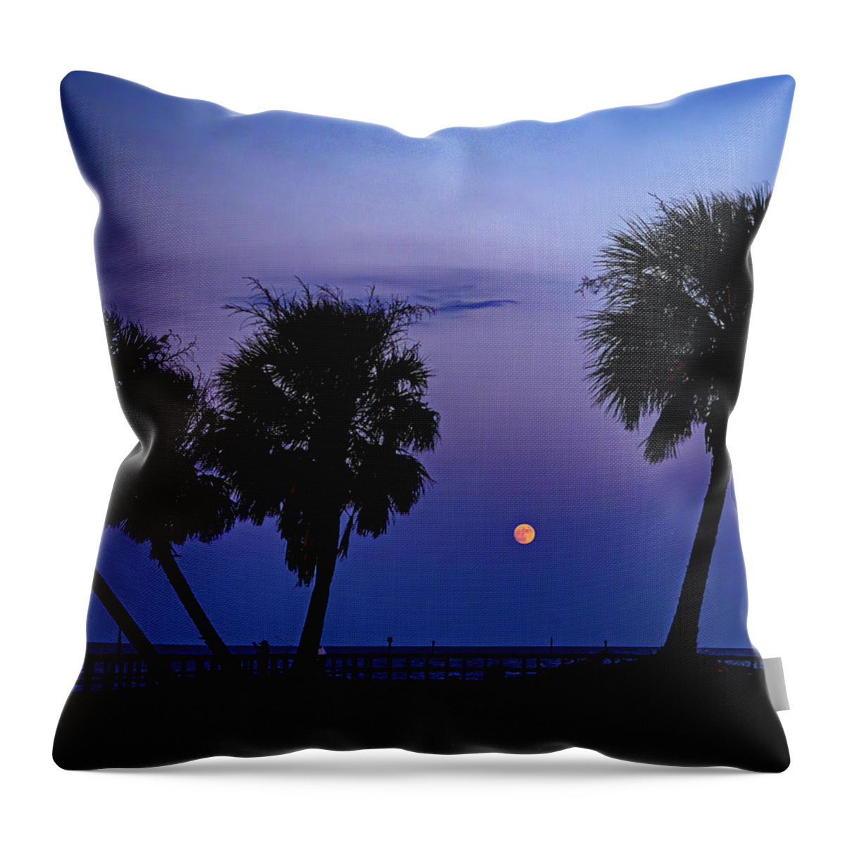 Blue Throw Pillow featuring the photograph Blue Moment by Jerry Connally