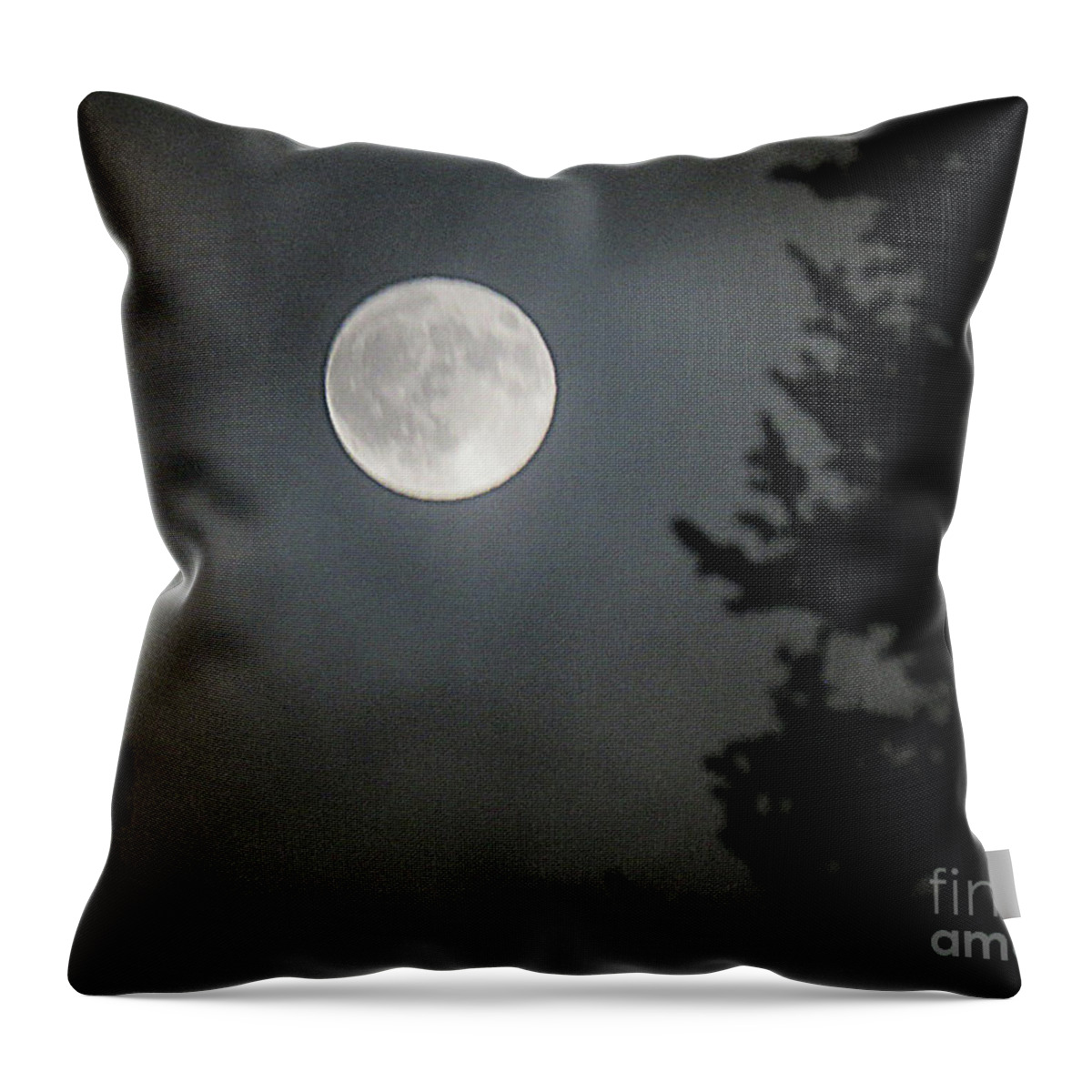 Canada Throw Pillow featuring the photograph Blue Moon by Mary Mikawoz