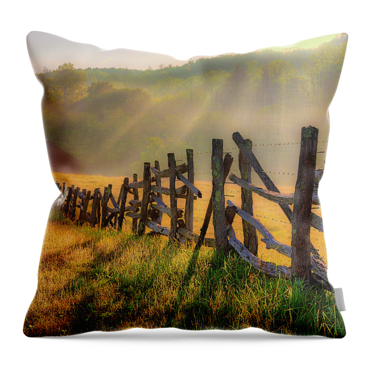 North Carolina Throw Pillow featuring the photograph Blue Ridge Barn in the Fog by Dan Carmichael