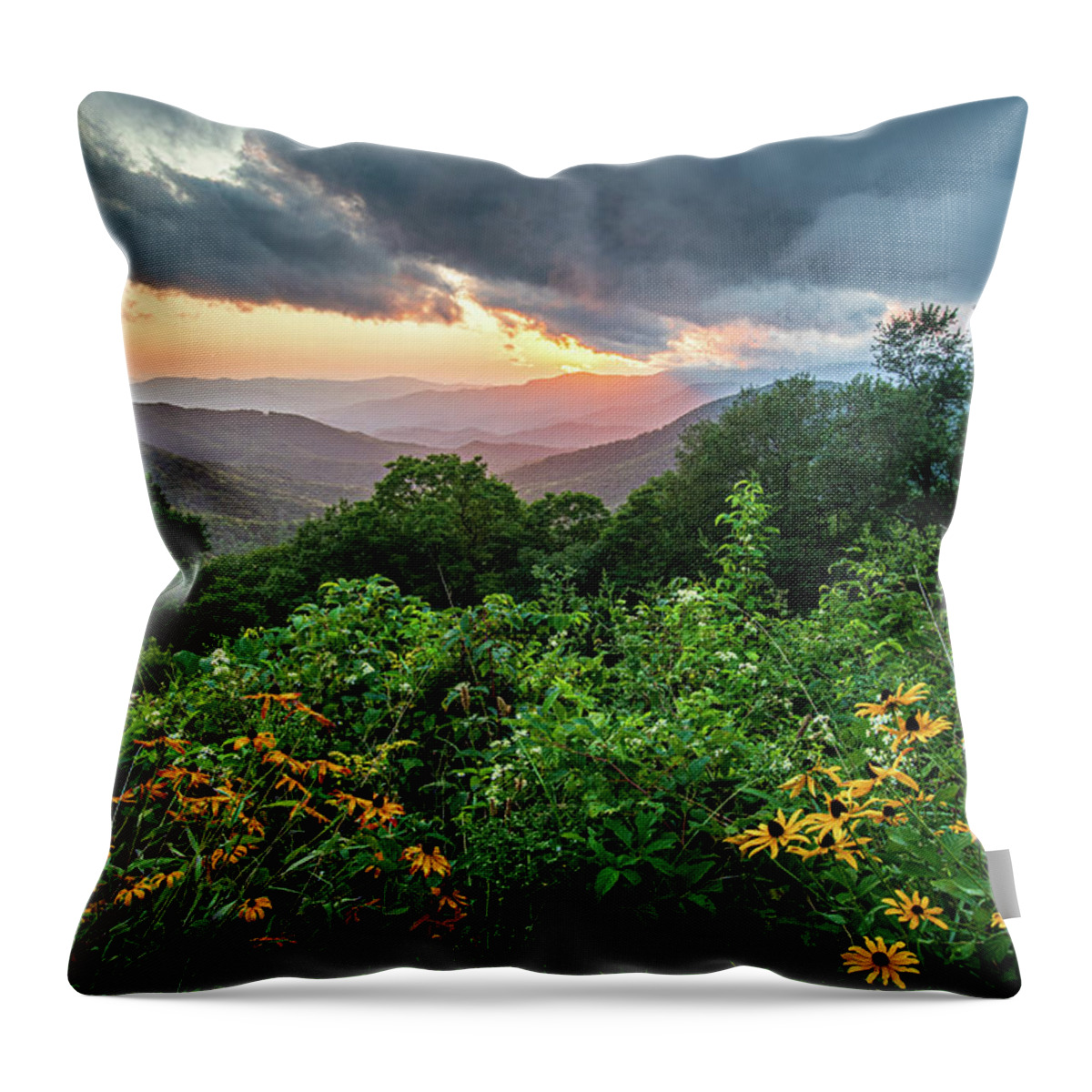 Evening Throw Pillow featuring the photograph Blue Ridge Parkway Asheville NC Wildflower Sunset Scenic by Robert Stephens