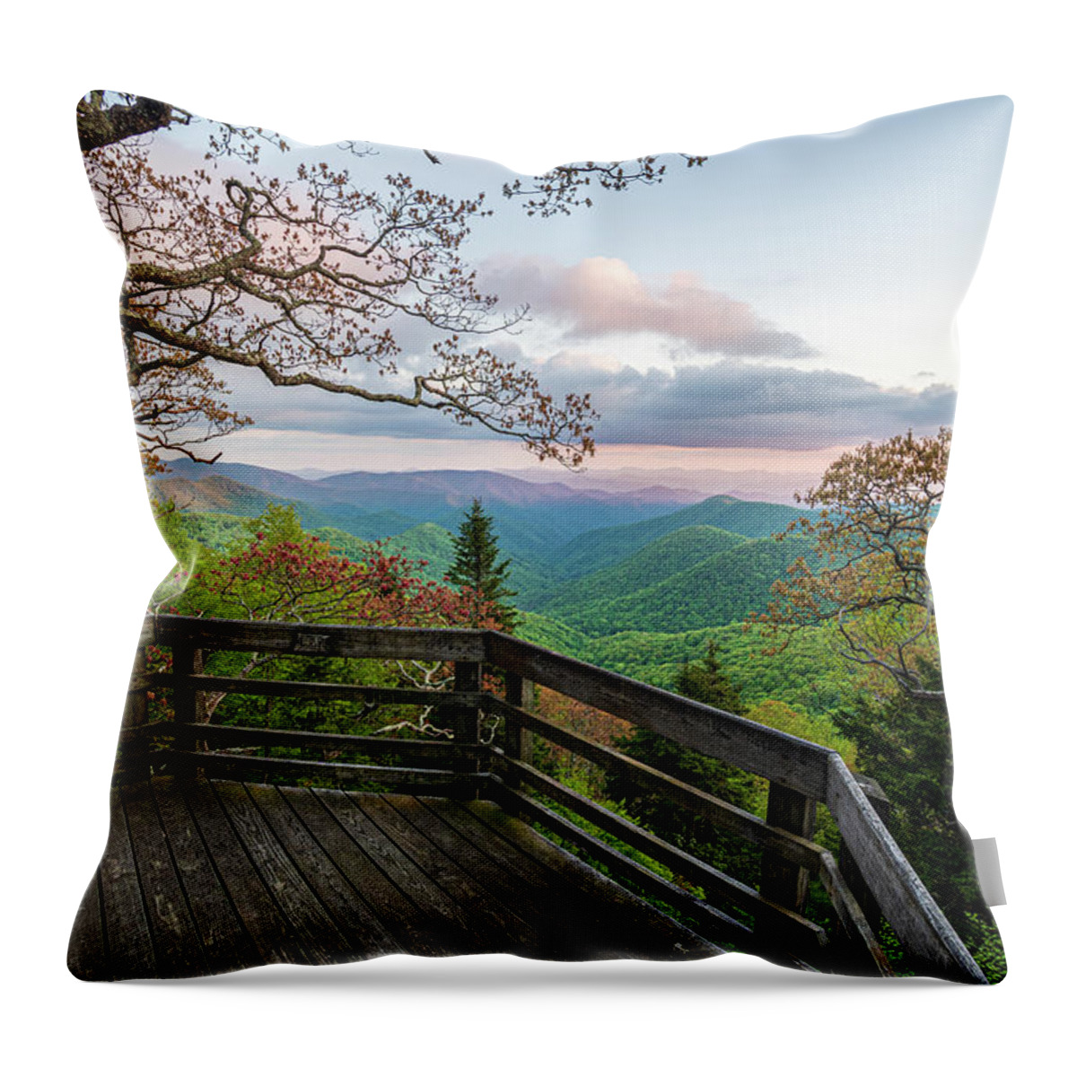 Landscape Throw Pillow featuring the photograph Blue Ridge Parkway Asheville North Carolina Pastel Spring by Robert Stephens