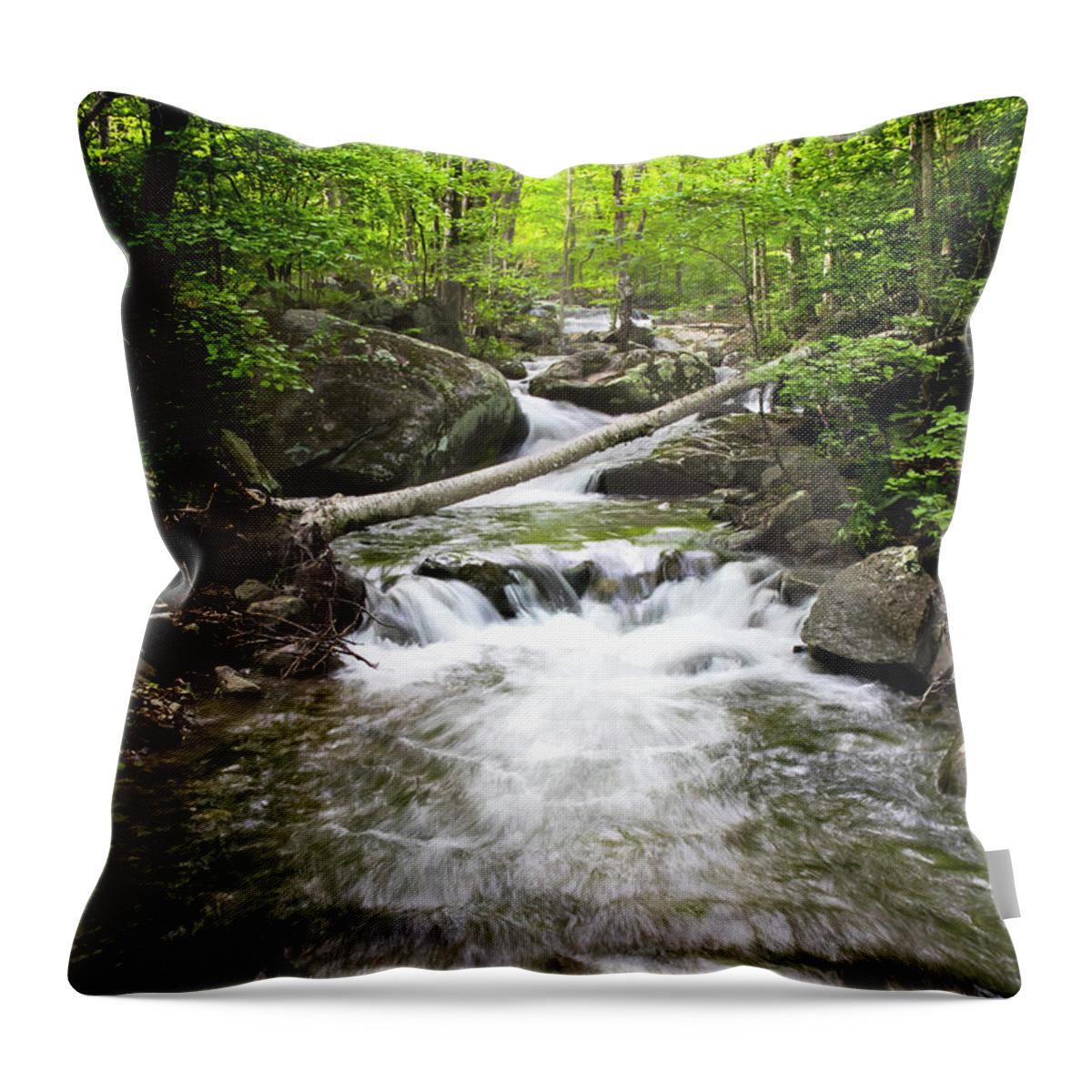Blue Ridge Parkway Throw Pillow featuring the photograph Blue Ridge Parkway Lonely Mountain Stream by Norma Brandsberg