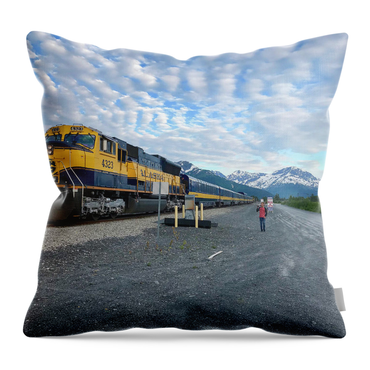 Landscape Throw Pillow featuring the photograph Blue Sky railroad by Ed Stokes