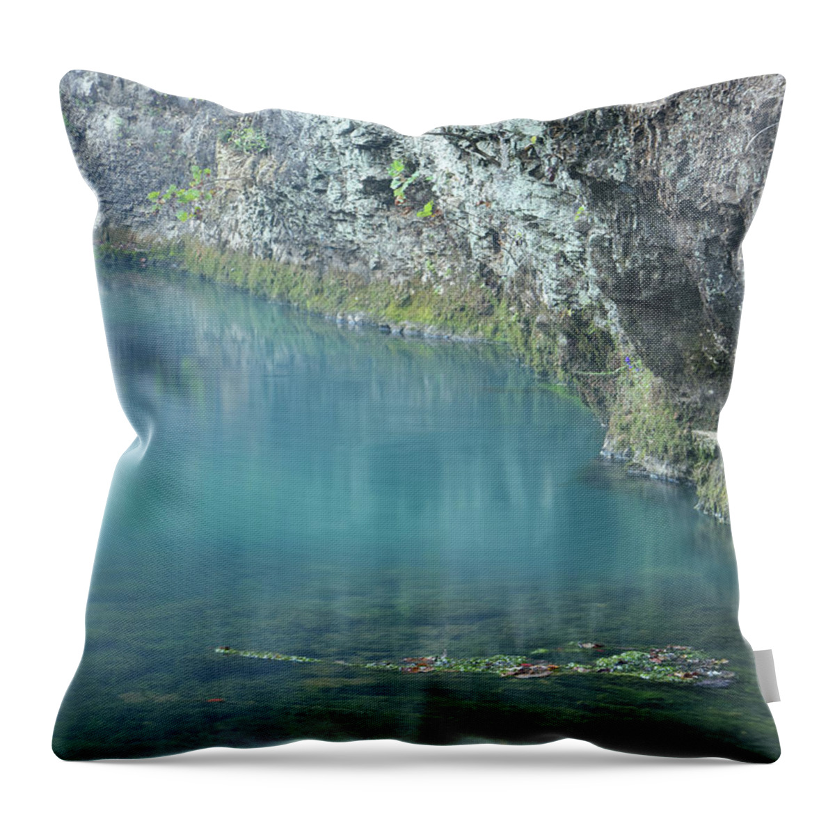 Spring Throw Pillow featuring the photograph Blue Spring by Robert Charity
