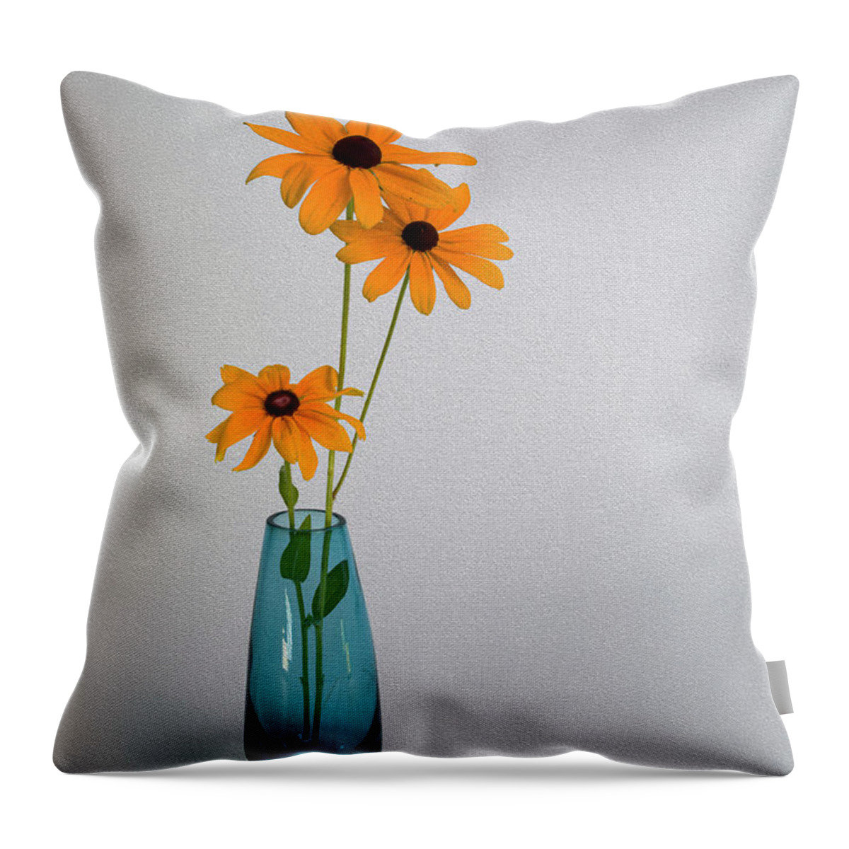 Black-eyed Susan Throw Pillow featuring the photograph Blue Vase on White Background with Three Black-eyed Susans by Charles Floyd