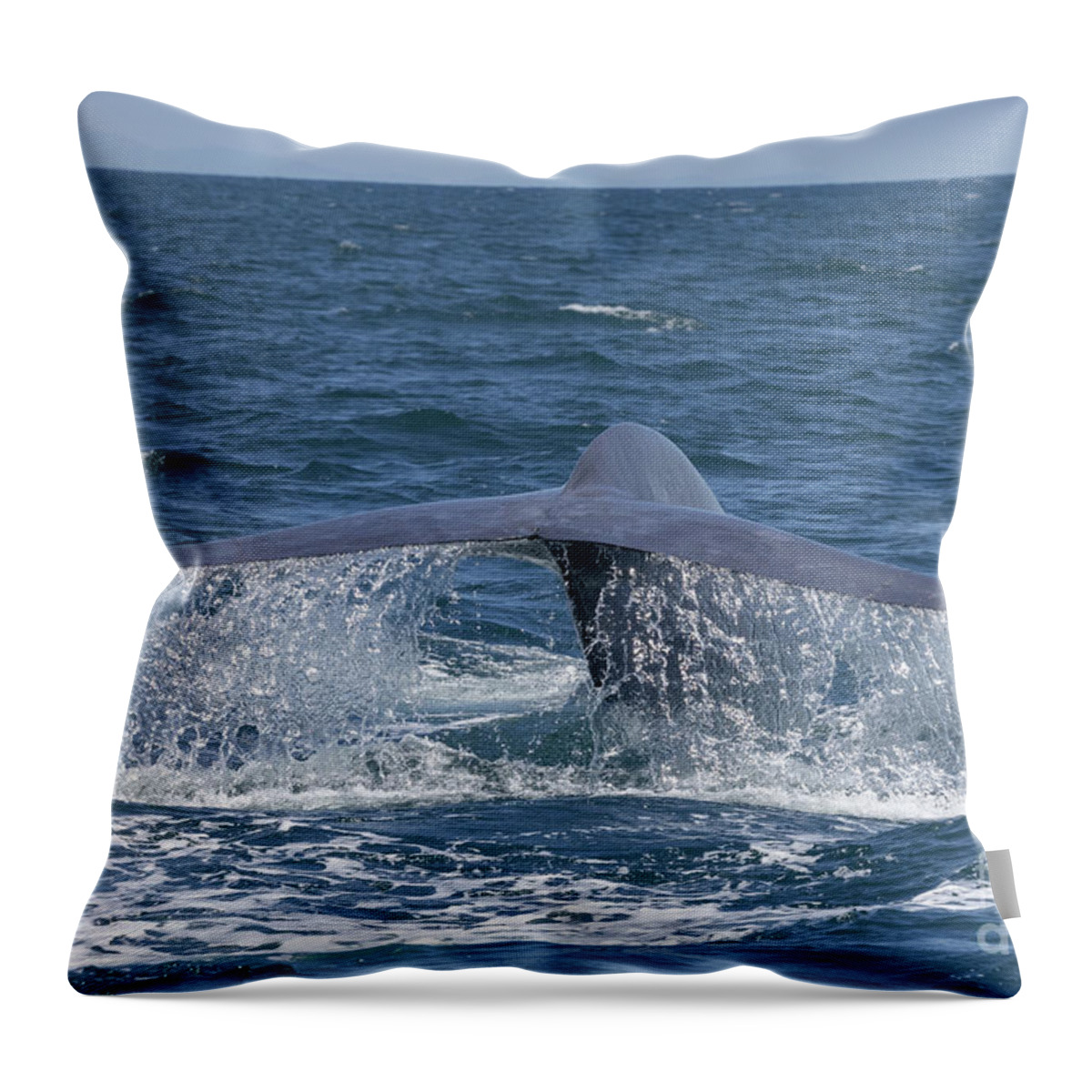 Dana Wharf Throw Pillow featuring the photograph Blue Whale Fluke Waterfall by Loriannah Hespe