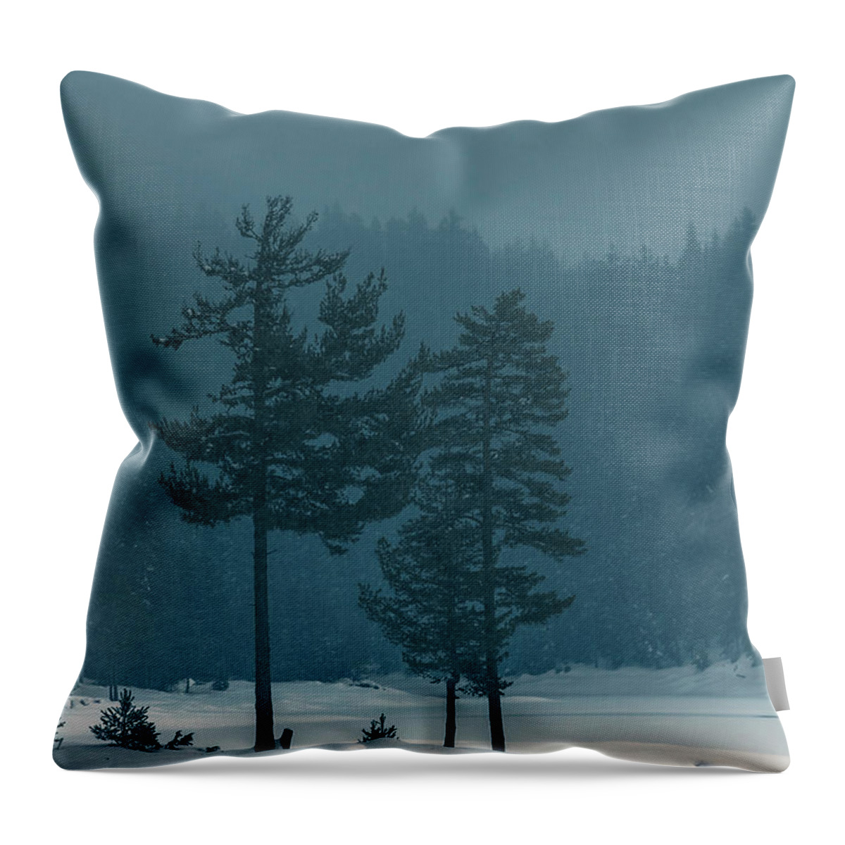 Bulgaria Throw Pillow featuring the photograph Blue Winter Day by Evgeni Dinev