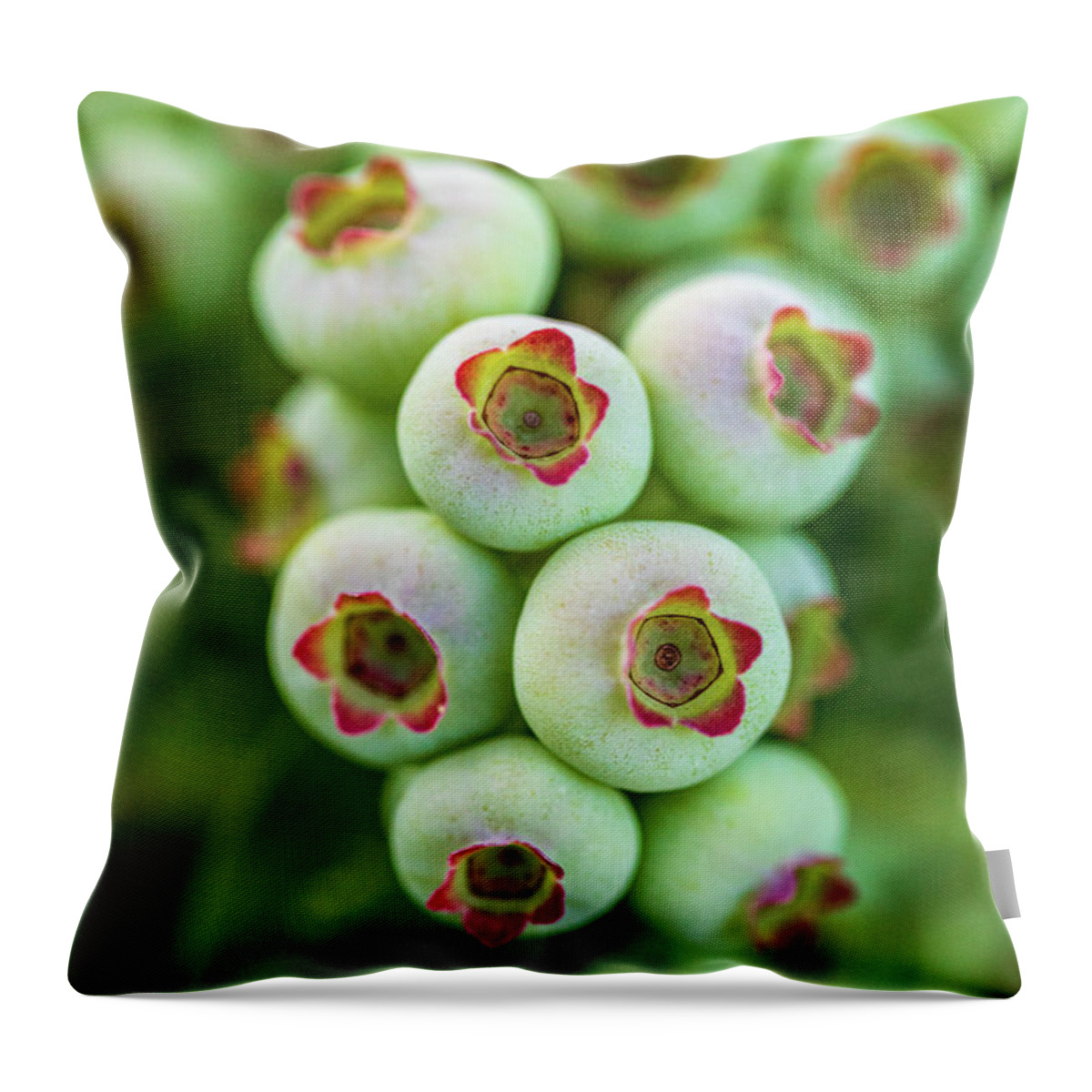 Food Throw Pillow featuring the photograph Blueberry Bush 2 by Amelia Pearn
