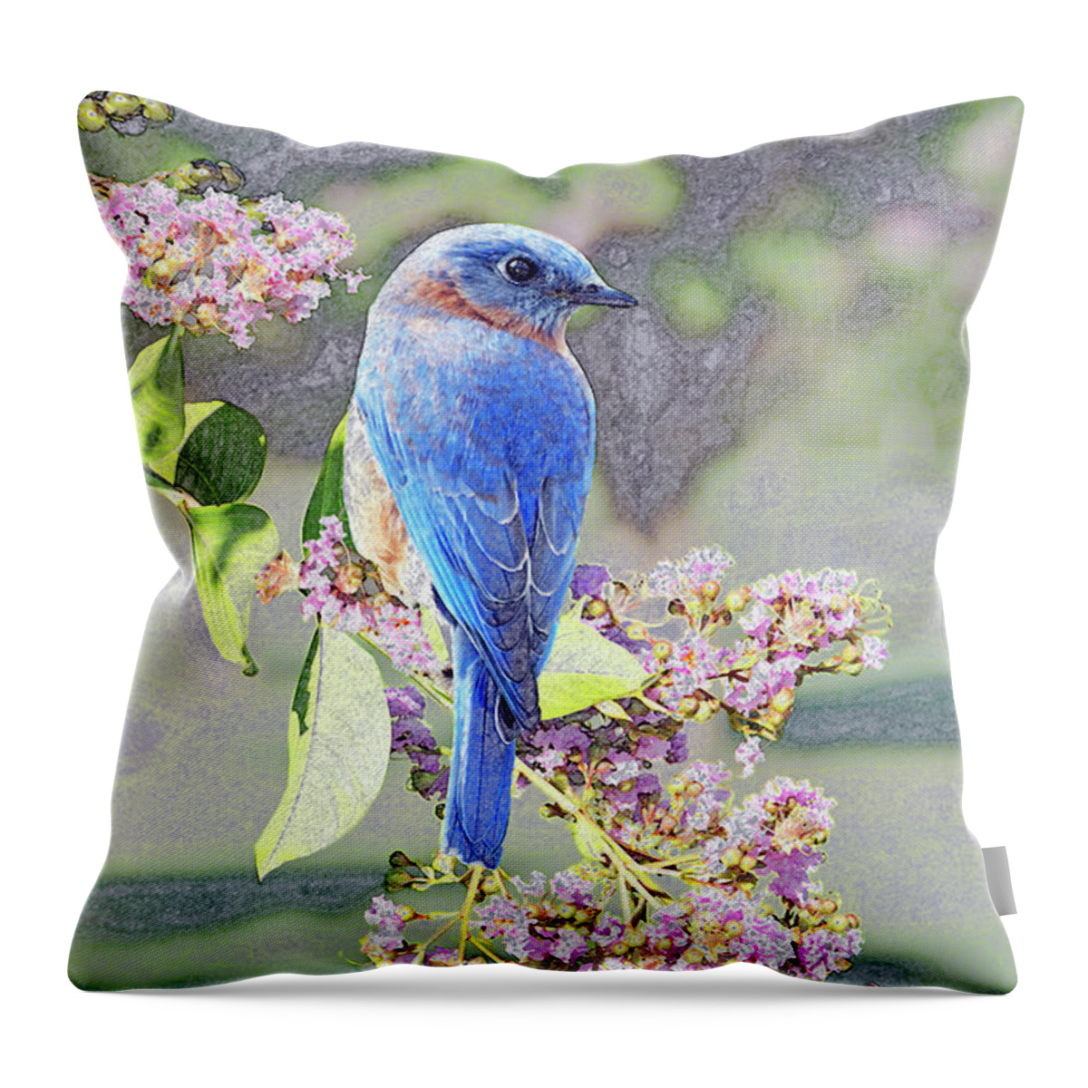 Bluebirds Throw Pillow featuring the photograph Bluebird On Pink by Jamie Pattison