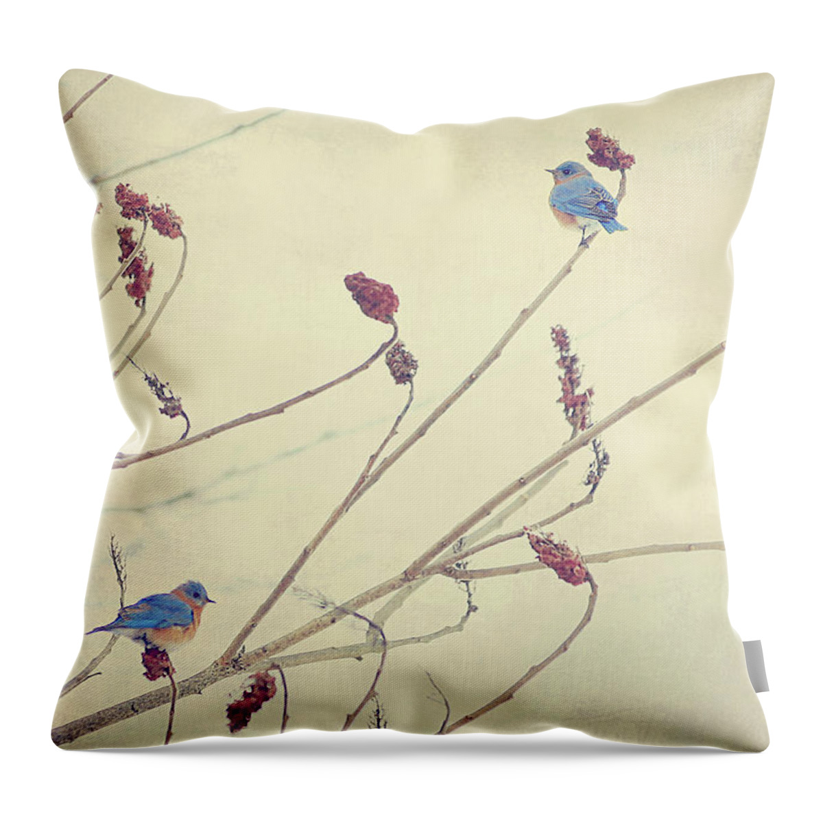 Winter Throw Pillow featuring the photograph Bluebirds by Carrie Ann Grippo-Pike