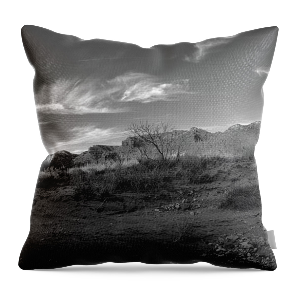 Richard E. Porter Throw Pillow featuring the photograph Bluffs in the Sun, Caprock Canyons State Park, Texas by Richard Porter