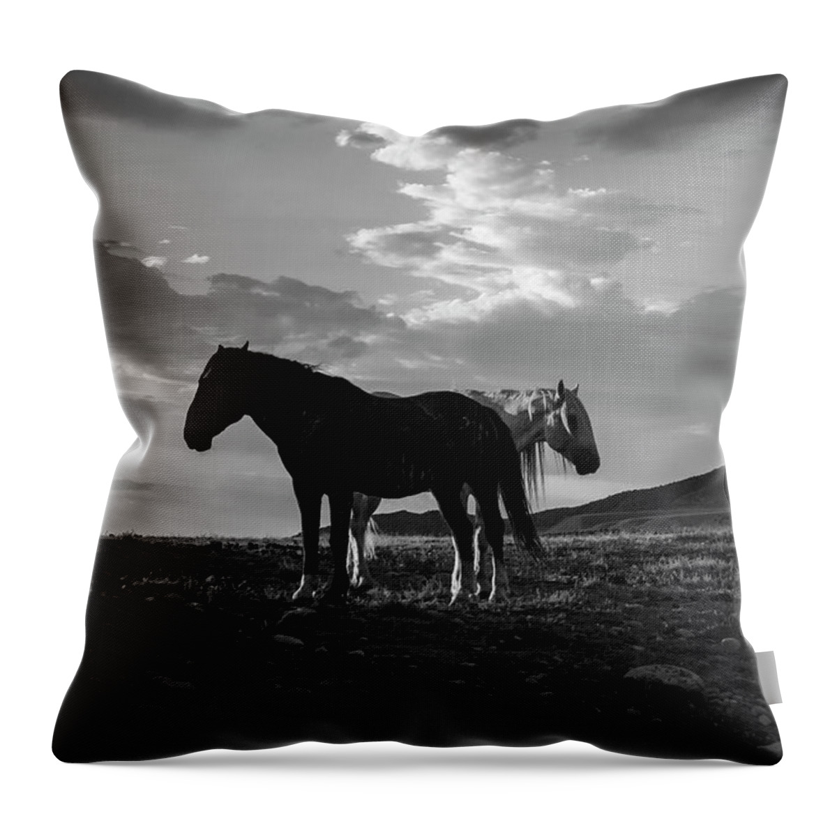 Black And White Throw Pillow featuring the photograph BnW Gandalf and Buddy by Dirk Johnson