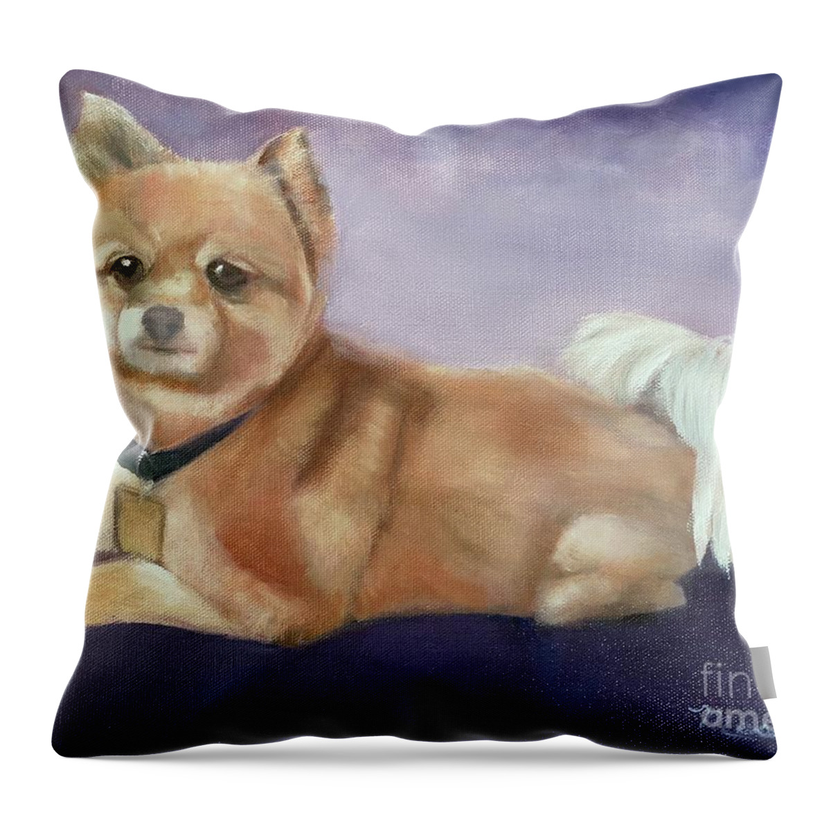 Dog Throw Pillow featuring the painting Bo by Sheila Mashaw