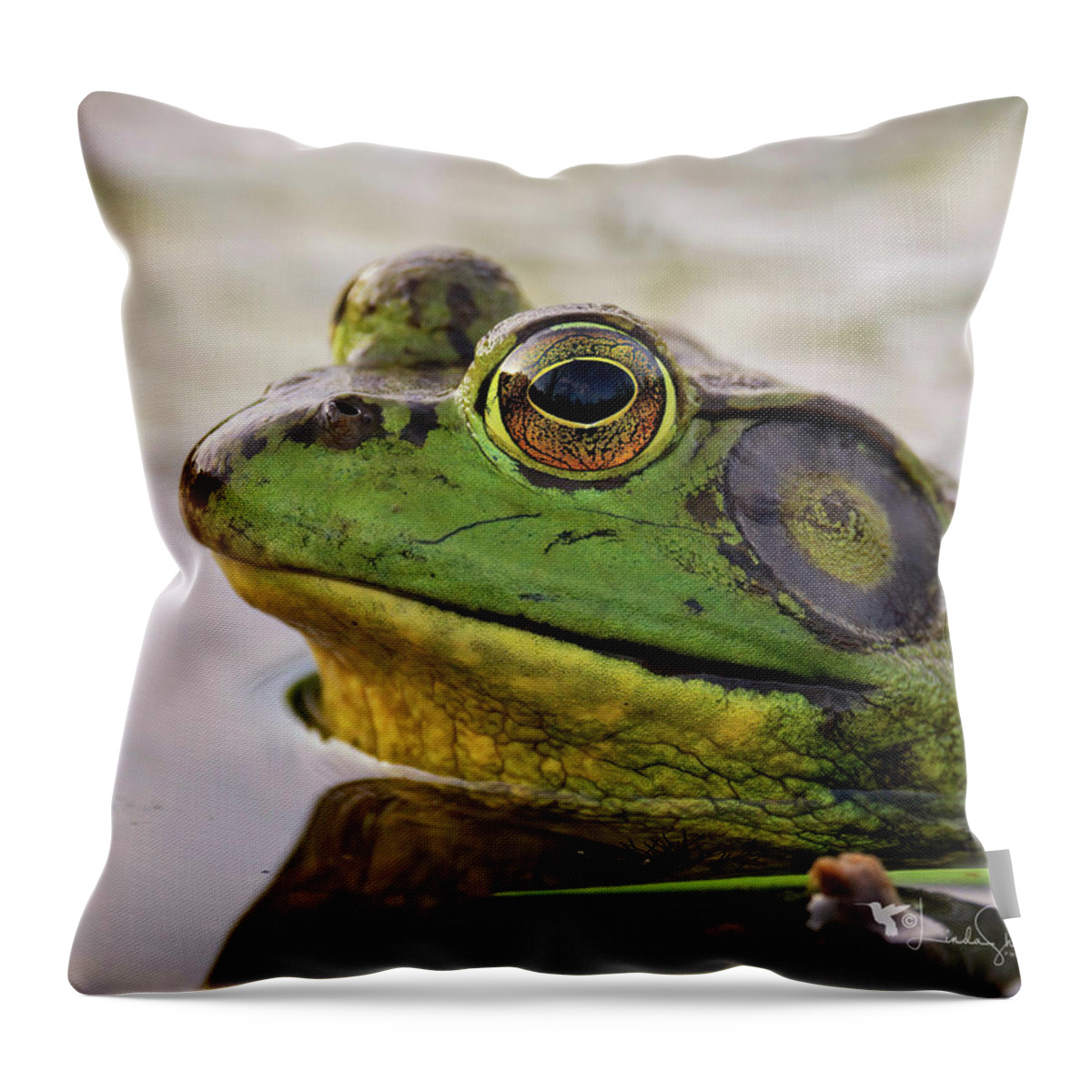 Nature Throw Pillow featuring the photograph Bob the Snob by Linda Shannon Morgan
