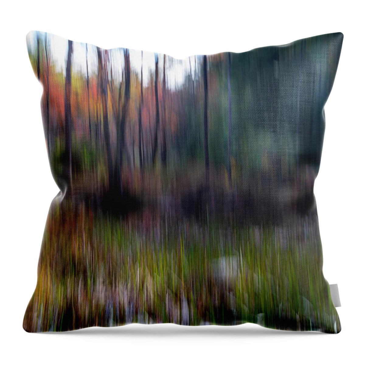 Icm Throw Pillow featuring the photograph Bog Area In the Fall by Betty Pauwels