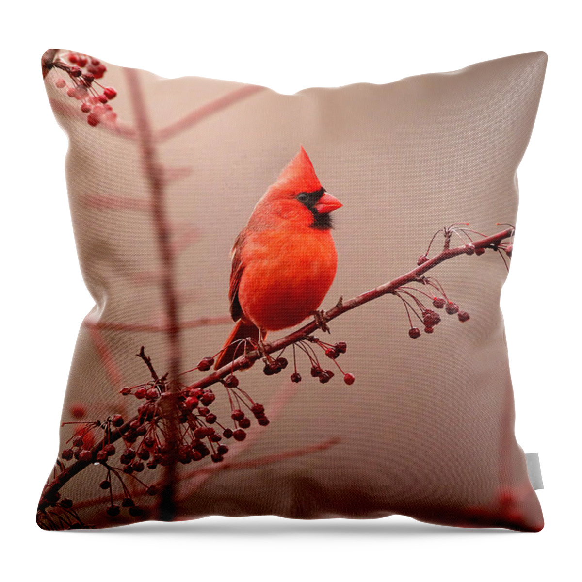 Cardinal Throw Pillow featuring the photograph Bold Beauty by Rob Blair