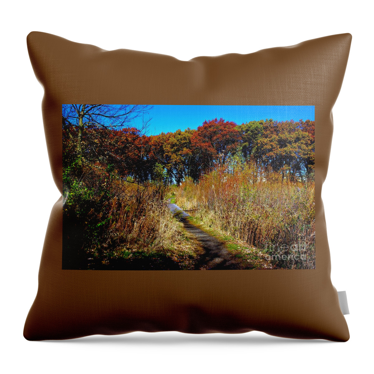 Landscape Photography Throw Pillow featuring the photograph Bold Colors Down the Trail by Frank J Casella