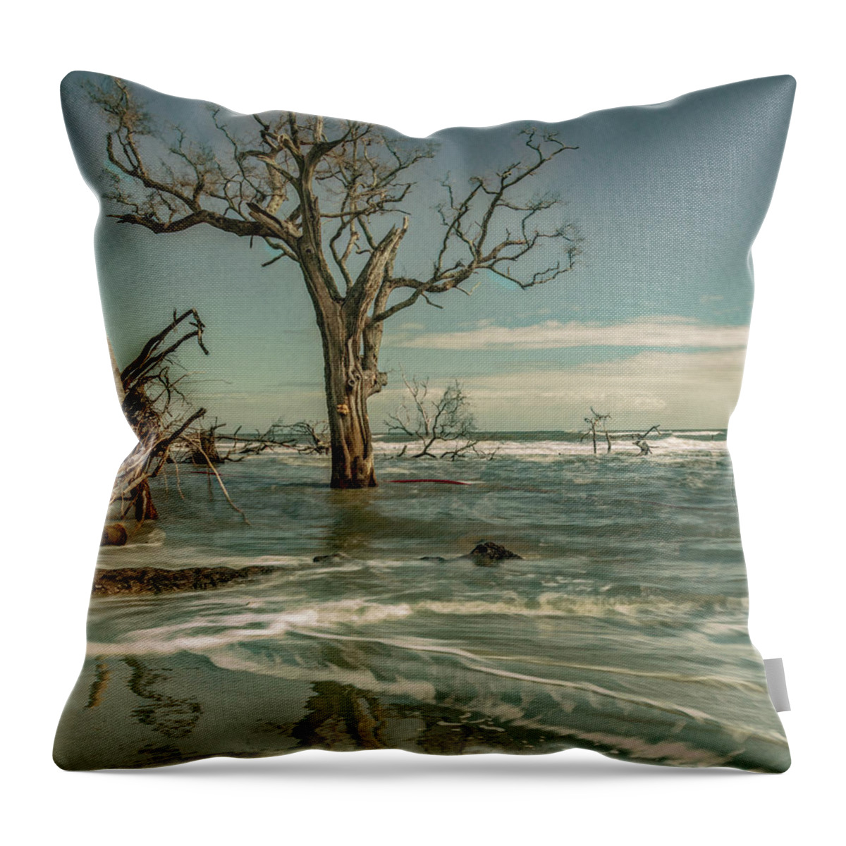  Throw Pillow featuring the photograph Bones of the Beach, Hunting Island by Marcy Wielfaert