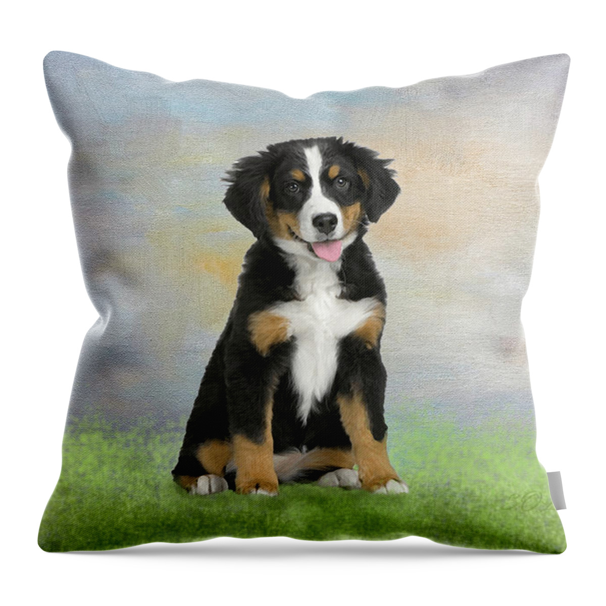 Border Collie Throw Pillow featuring the photograph Border Collie Dog Digital Painting by Sandi OReilly