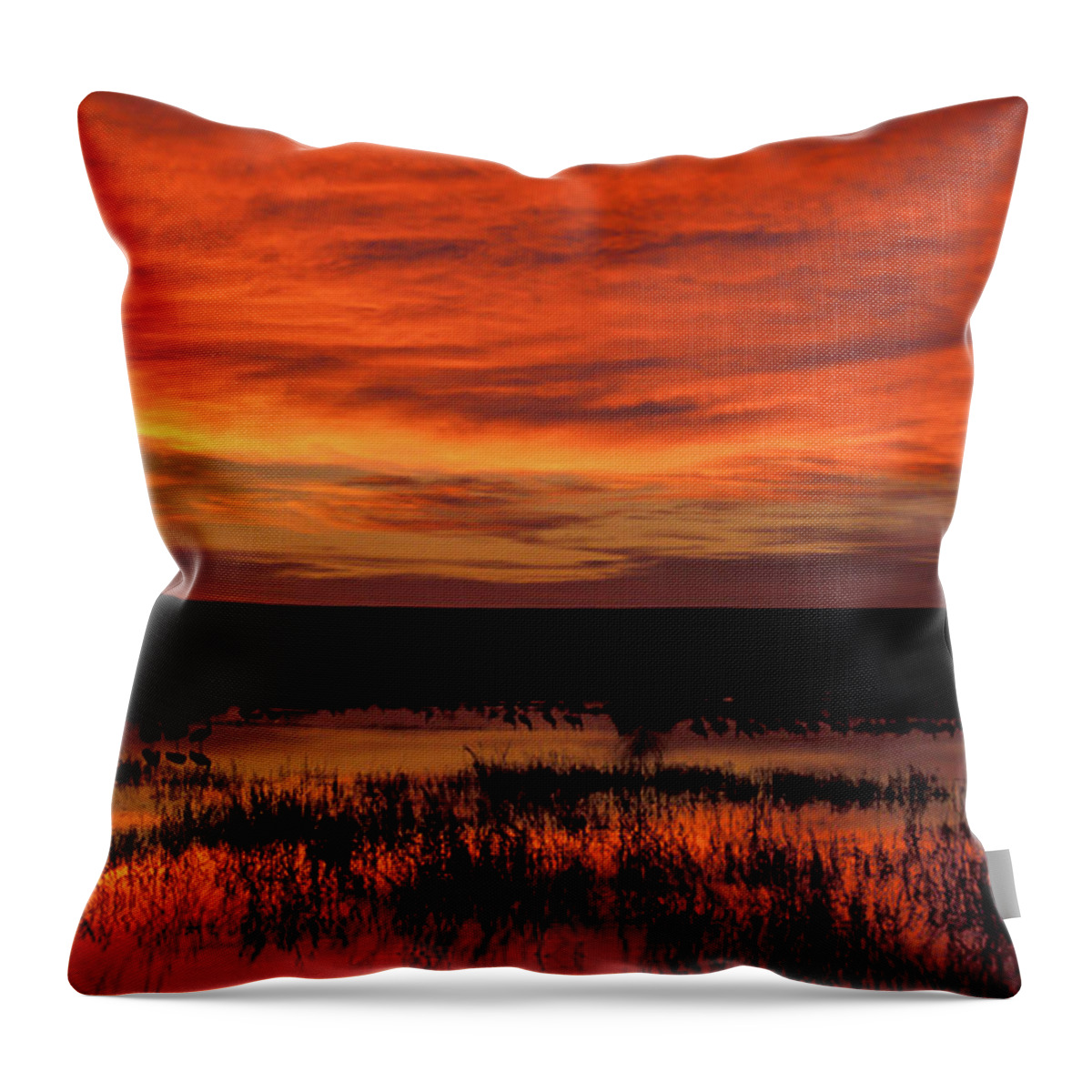 Copyright Elixir Images Throw Pillow featuring the photograph Bosque Del Apache Lagoon Sunrise by Santa Fe