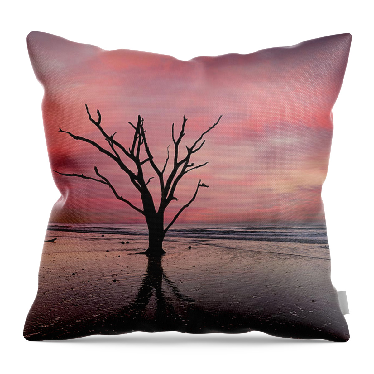 Nature Throw Pillow featuring the photograph Botany Bay Oak at Sunrise by Jon Glaser