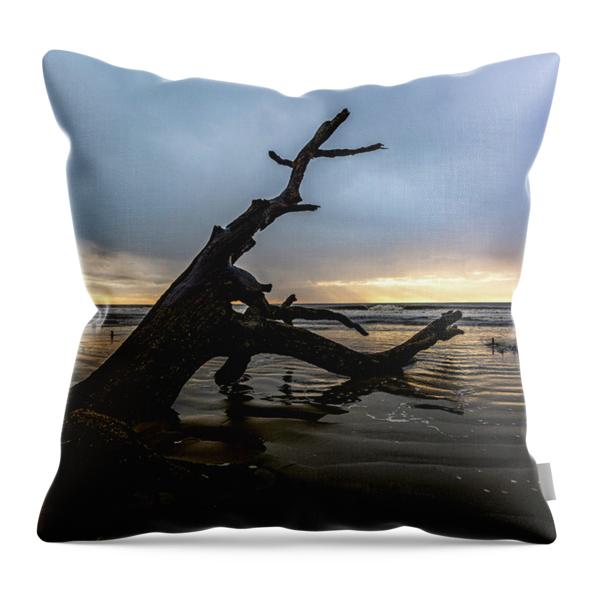 Boneyard Throw Pillow featuring the photograph Botany Bay Plantation Boneyard Beach Fifteen by Douglas Wielfaert