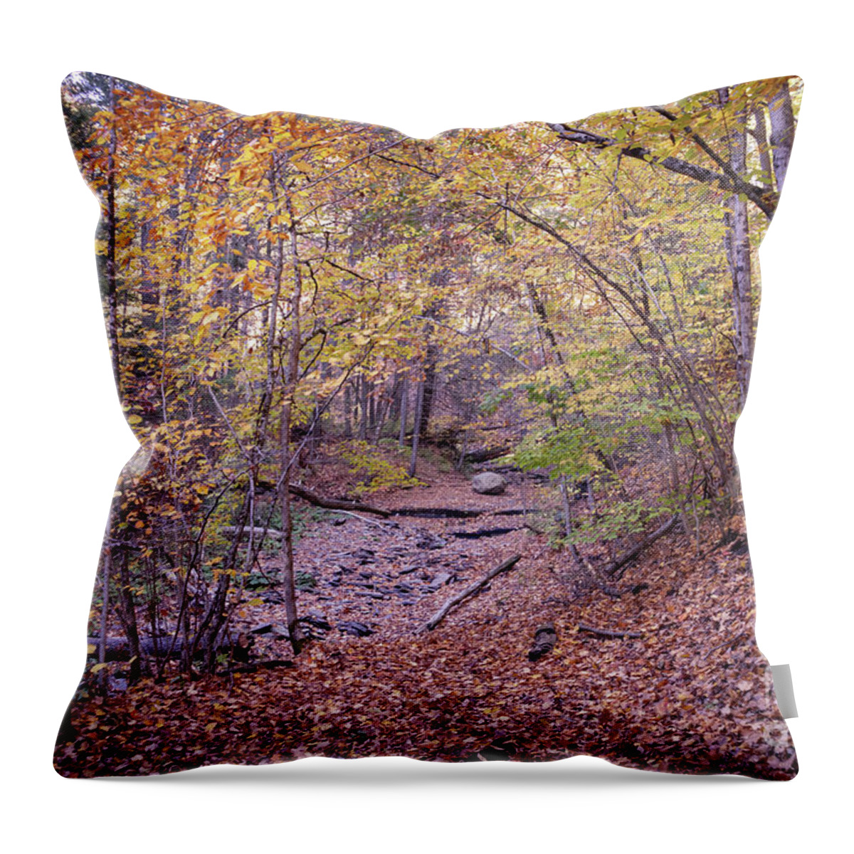 Nature Throw Pillow featuring the photograph Botsford Nature Preserve 10 by William Norton