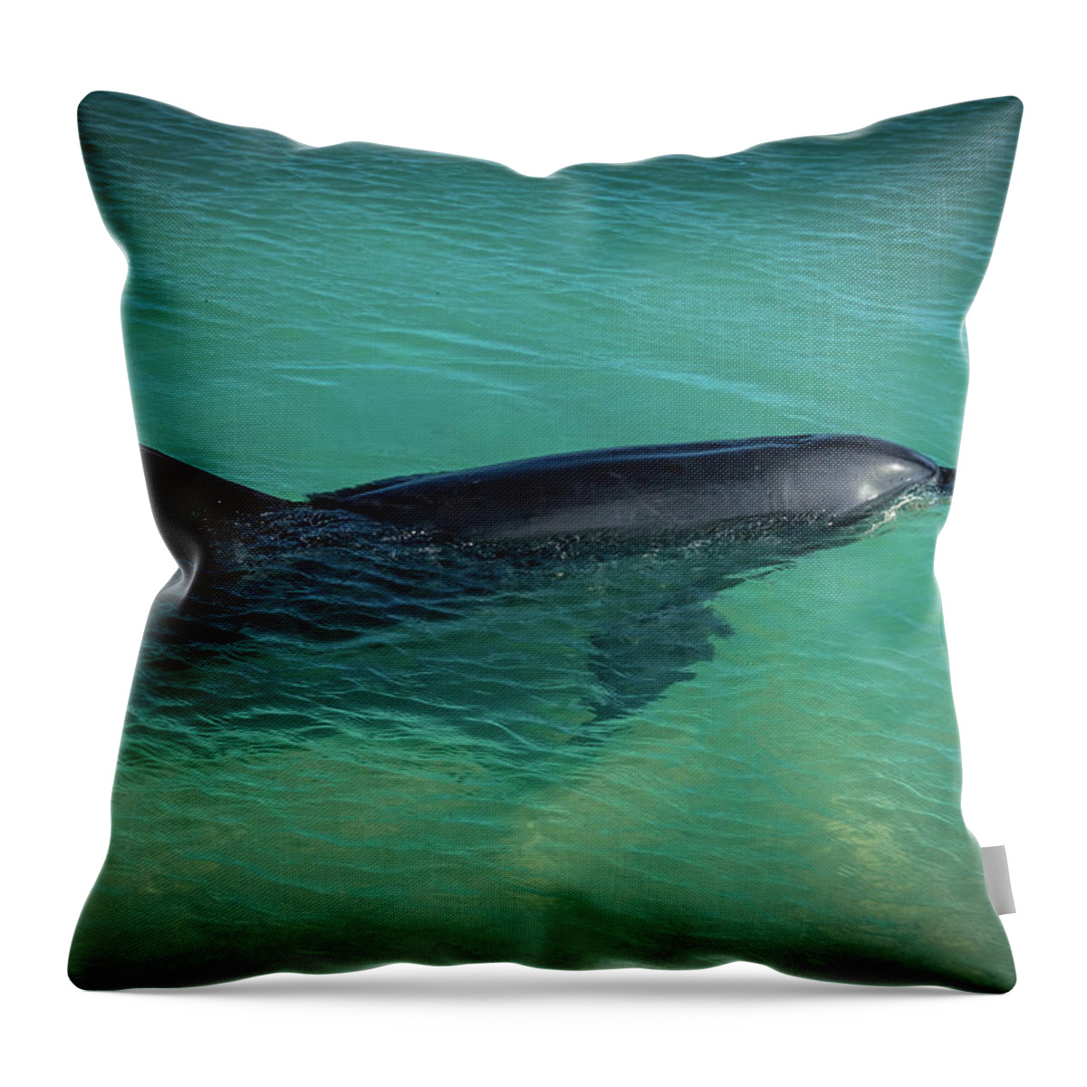 Bottlenose Dolphin Throw Pillow featuring the photograph Bottlenose Dolphin at Monkey Mia Beach by Guillaume Leclerc