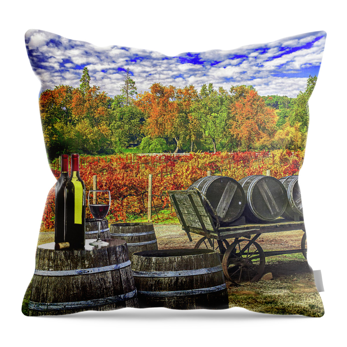 Barrels Throw Pillow featuring the photograph BOTTLES AND WINE BARRELS, California by Don Schimmel