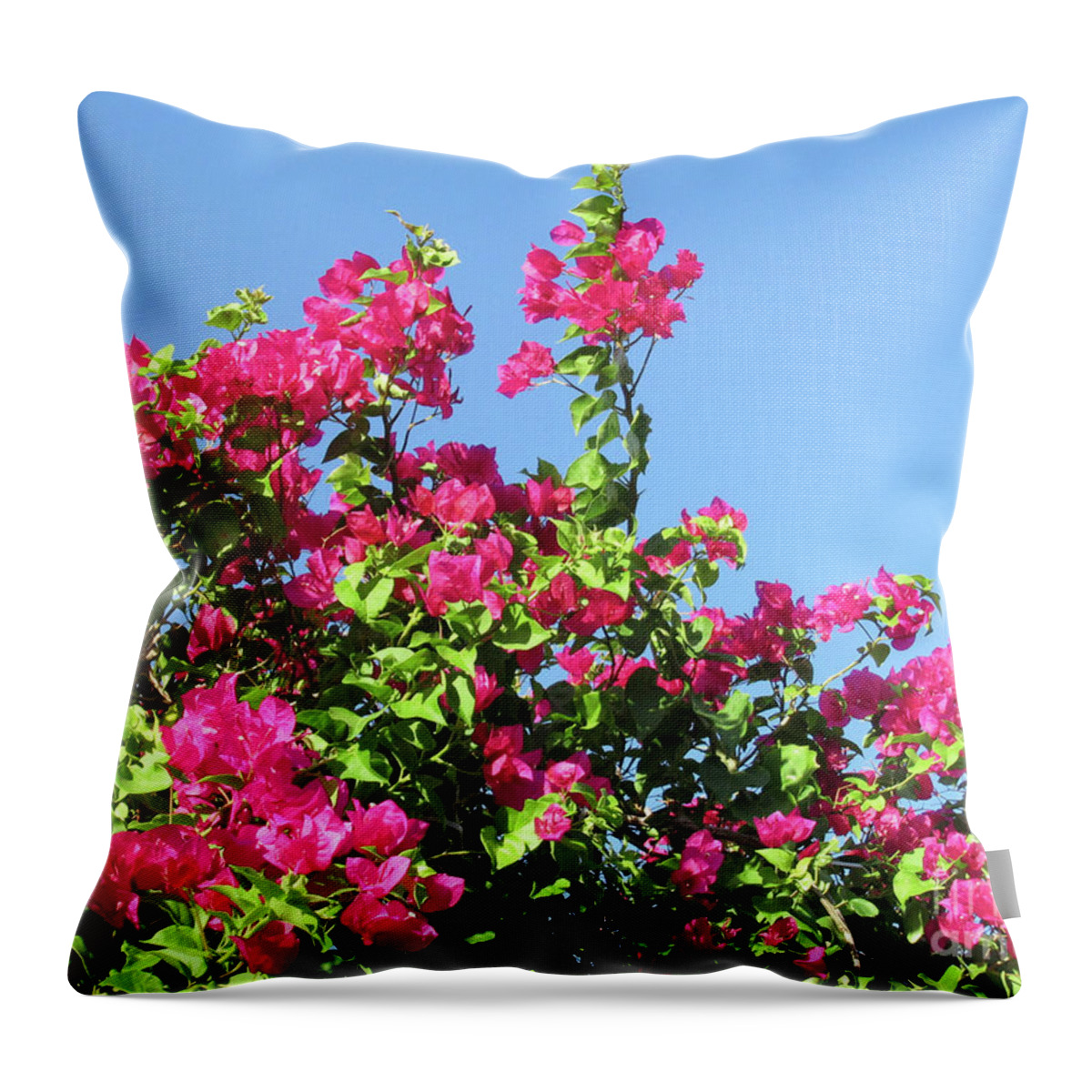 Bougainvillea Throw Pillow featuring the photograph Bougainvillea 1 by Randall Weidner
