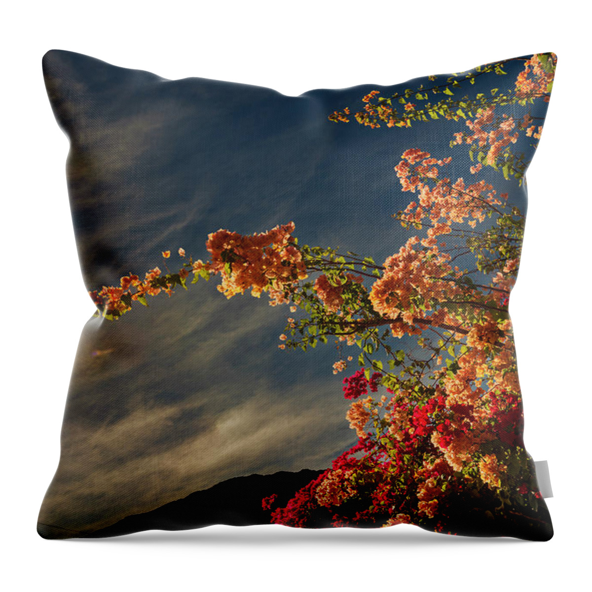 Blue Sky Throw Pillow featuring the photograph Bougainvillea Palm Springs California 0449 by Amyn Nasser