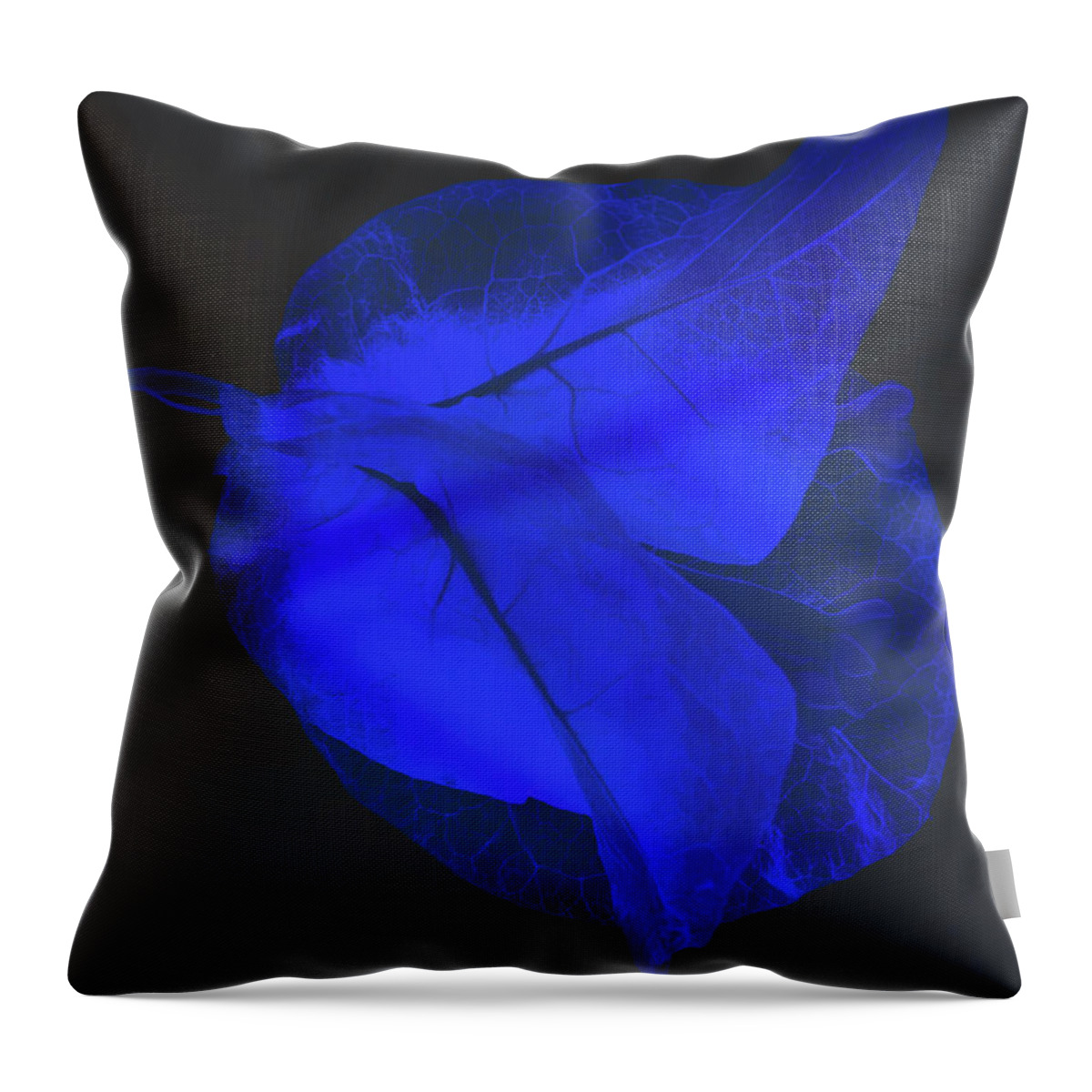 Bouganvillea Throw Pillow featuring the photograph Blue Bougainvillea #5 by Al Fio Bonina