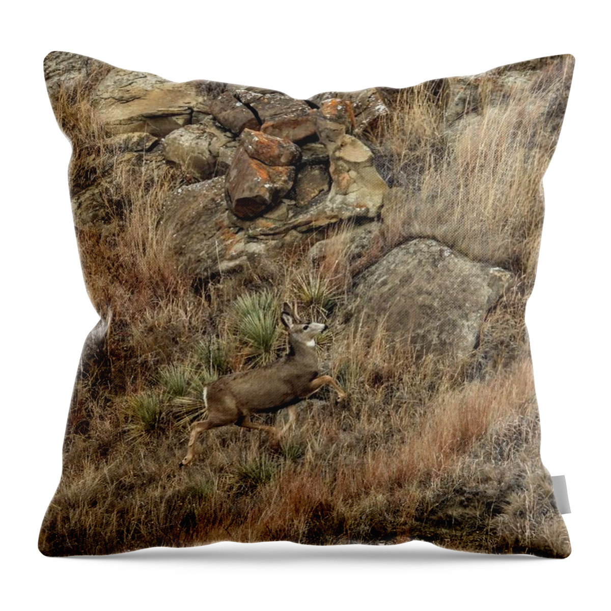 Mule Deer Throw Pillow featuring the photograph Bounding Up The Hill by Amanda R Wright