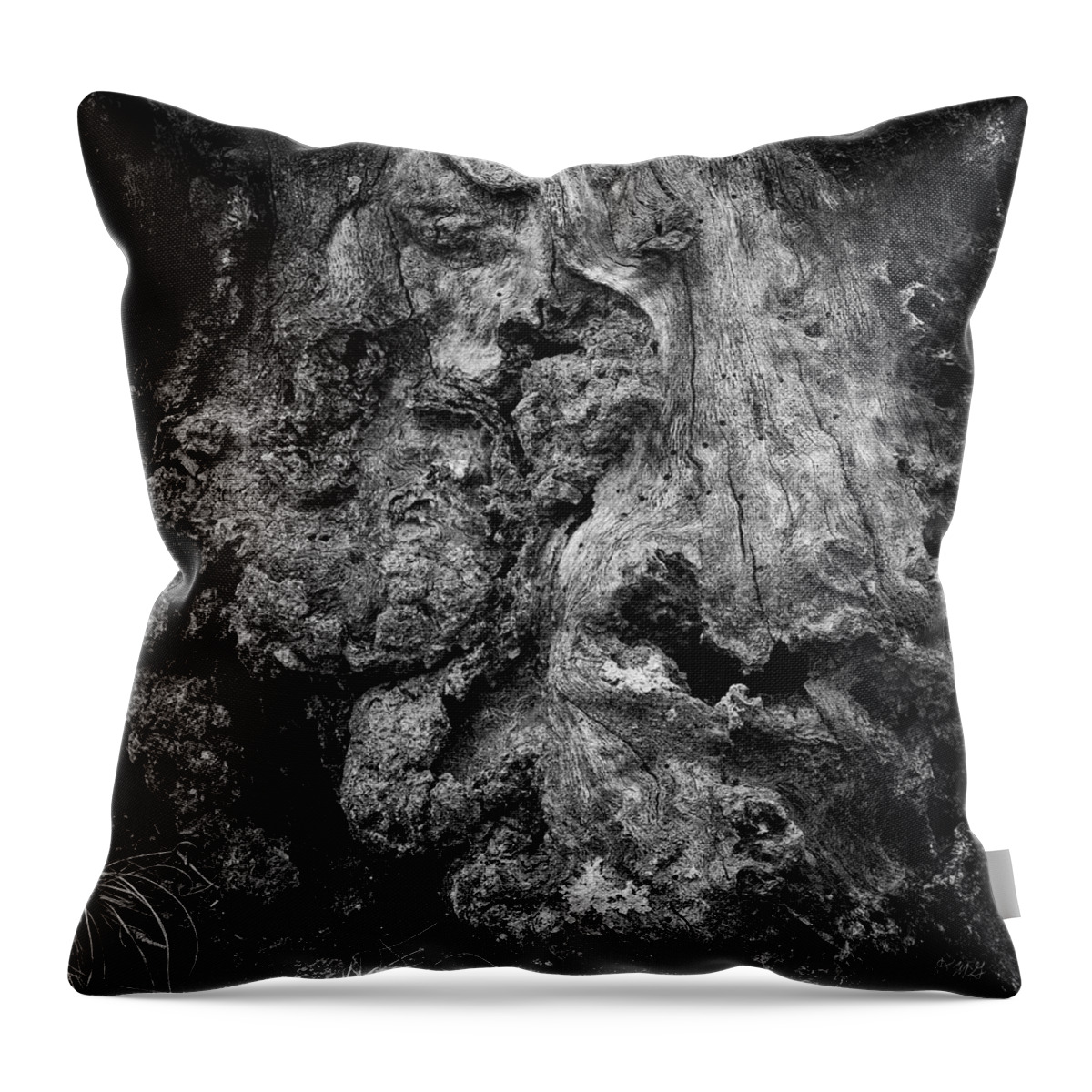 Fine Art Photography Throw Pillow featuring the photograph Boyden XII BW by David Gordon