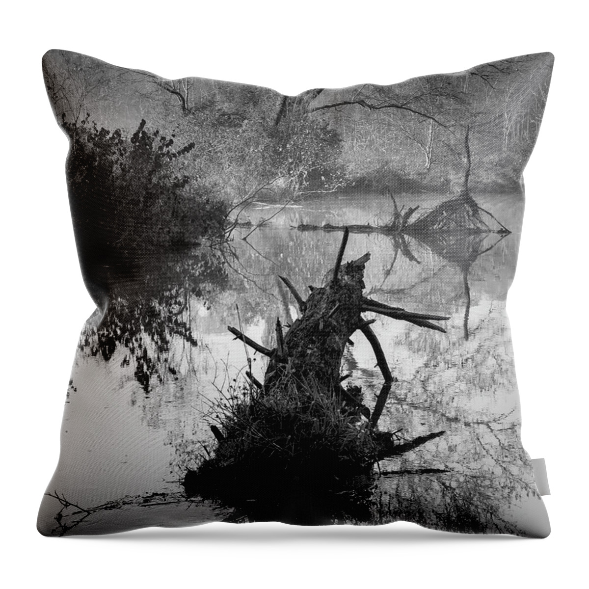 Black And White Throw Pillow featuring the photograph Boyden XX BW by David Gordon