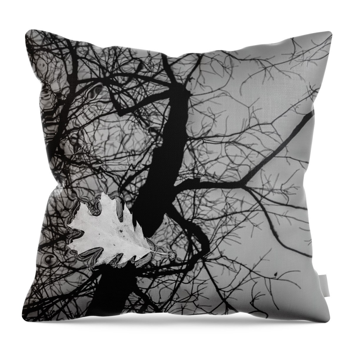 Black And White Throw Pillow featuring the photograph Boyden XXI BW by David Gordon