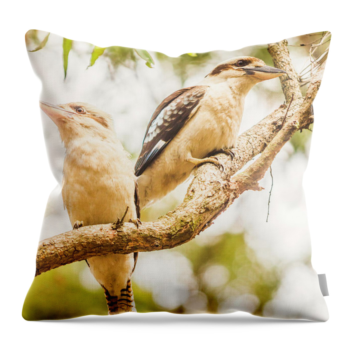 Australia Throw Pillow featuring the photograph Branched Outback by Jorgo Photography