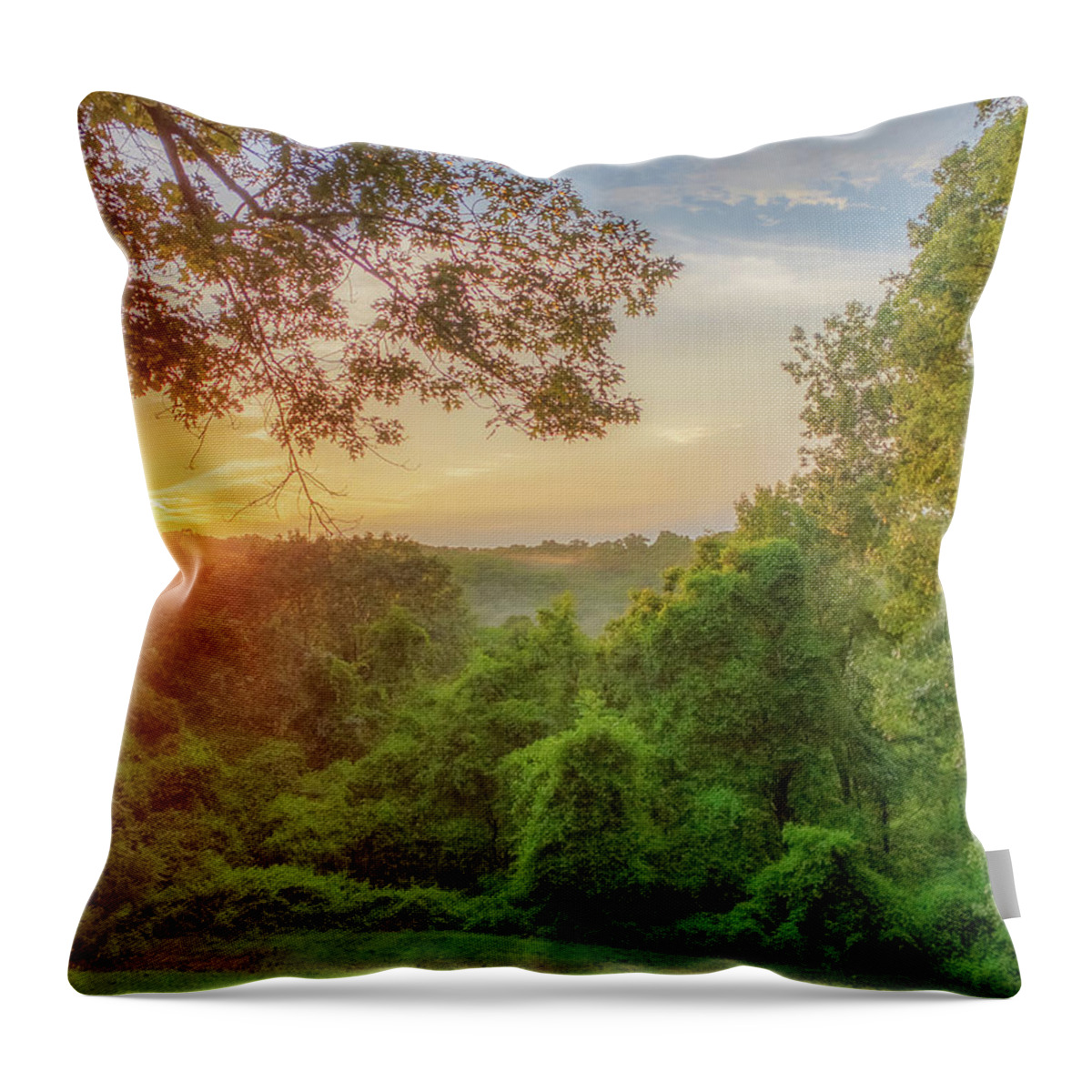 Sunset Throw Pillow featuring the photograph Branson Sunset by Allin Sorenson