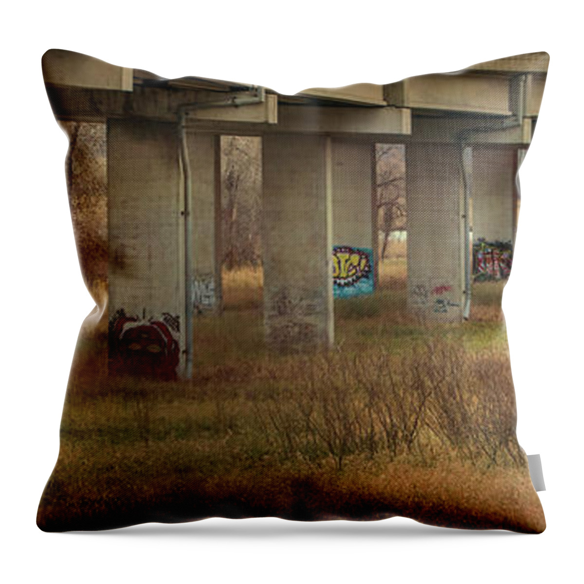 Urban Throw Pillow featuring the photograph Bridge Graffiti by Patti Deters