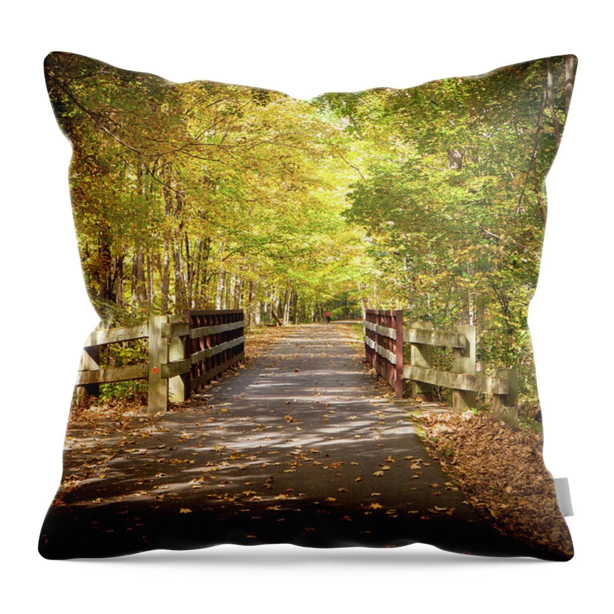 Bridge Throw Pillow featuring the photograph Wooden Bridge_7845 by Rocco Leone
