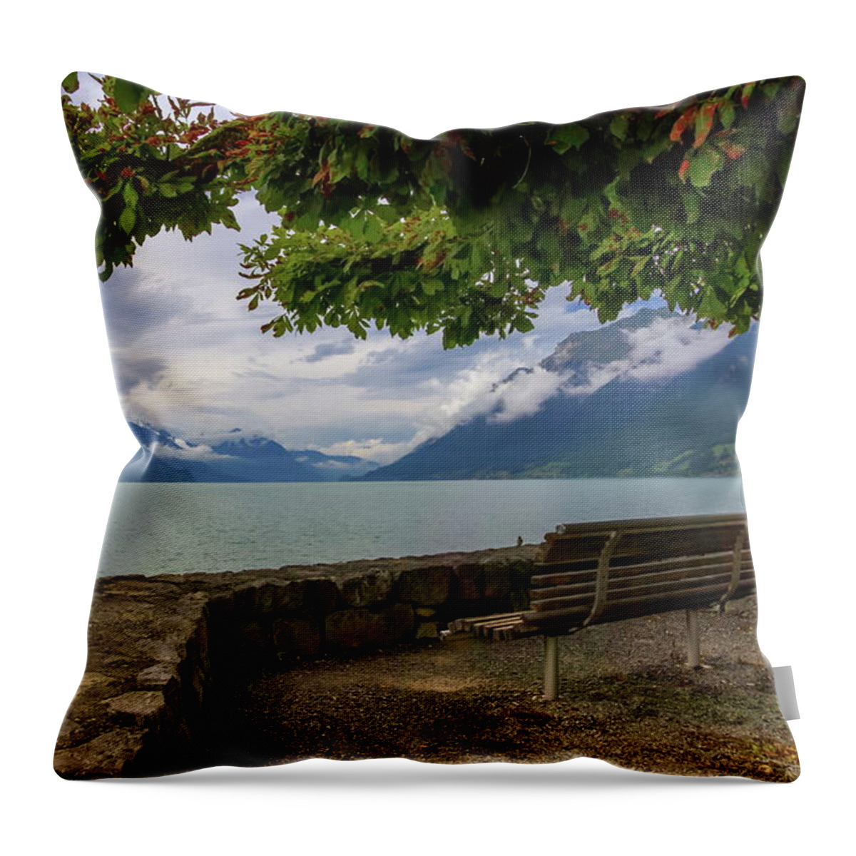 Mountain Throw Pillow featuring the photograph Brienz lake and Alps mountains, Switzerland by Elenarts - Elena Duvernay photo