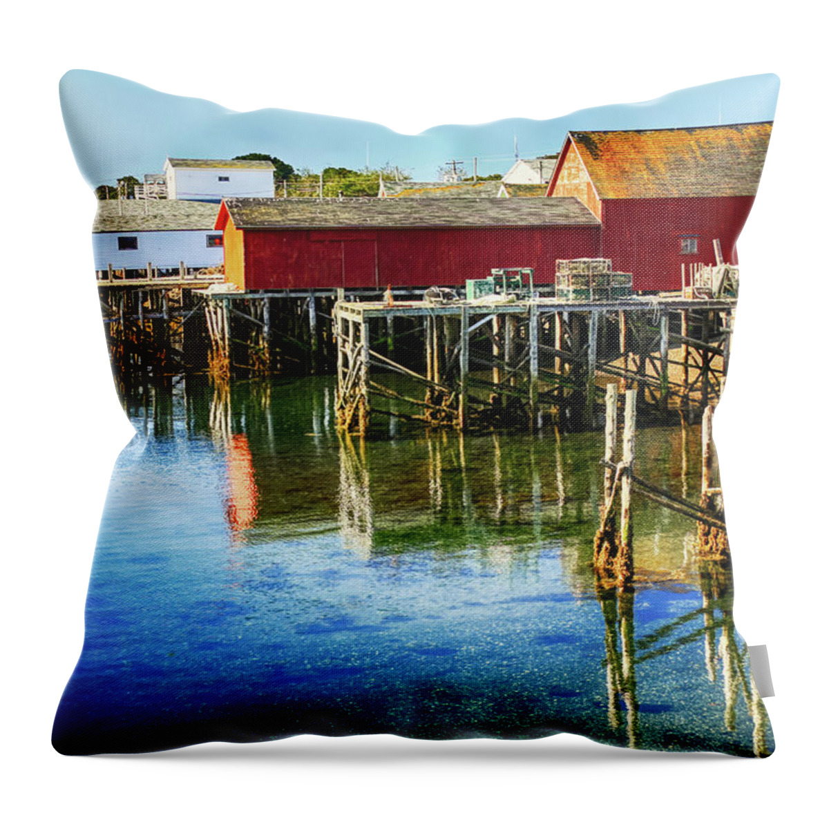 Briar Island Throw Pillow featuring the photograph Briar Island by Tatiana Travelways