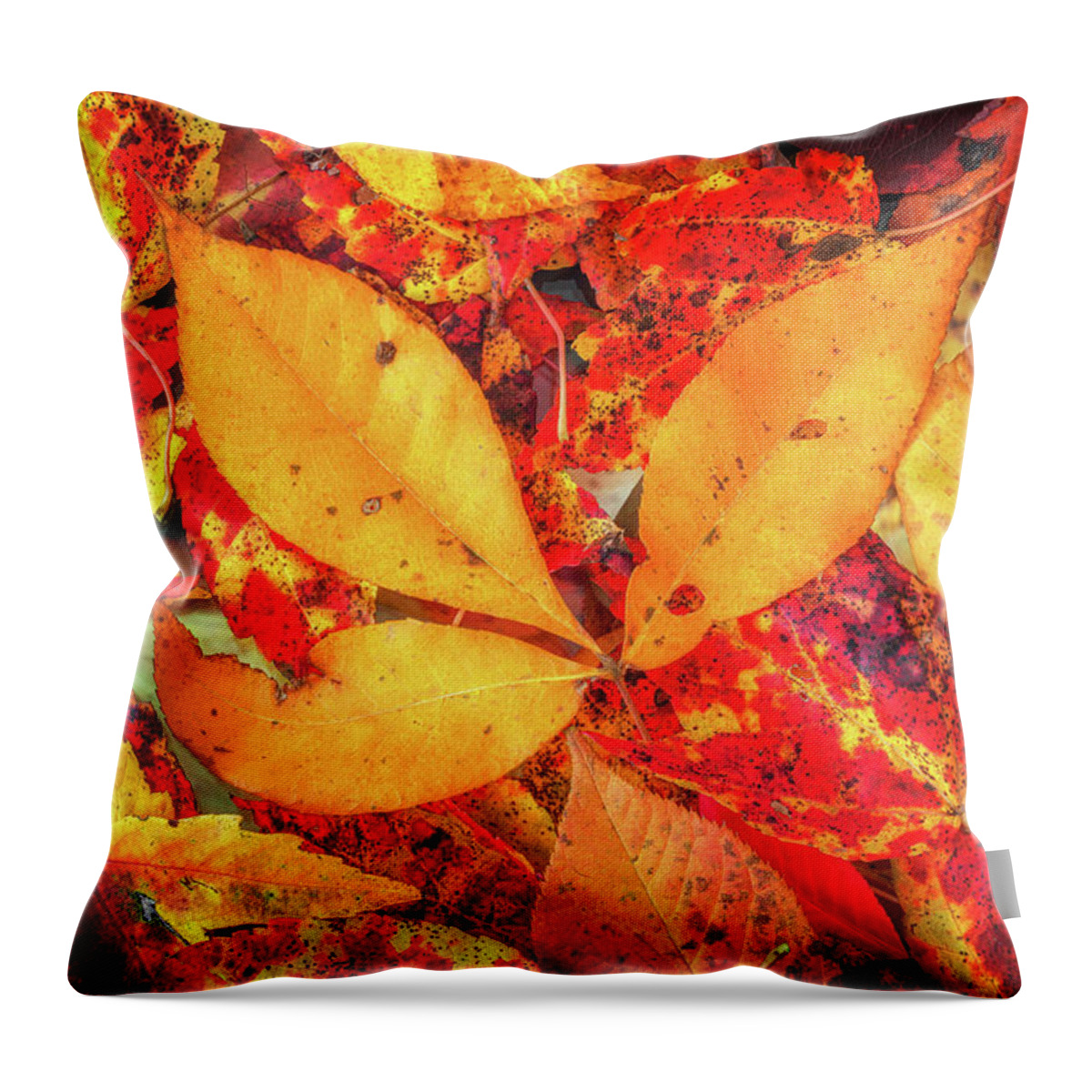 Leaves Throw Pillow featuring the photograph Bright Autumn Colors by Elvira Peretsman