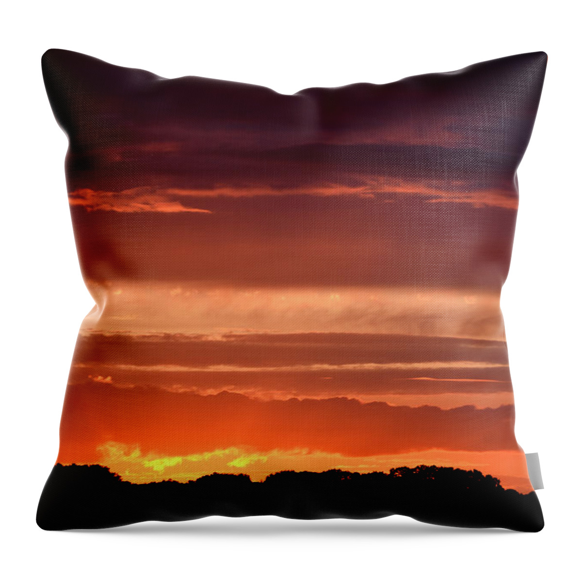 Heath Throw Pillow featuring the photograph Bright sunset Stoborough Heath Wareham Dorset by Loren Dowding