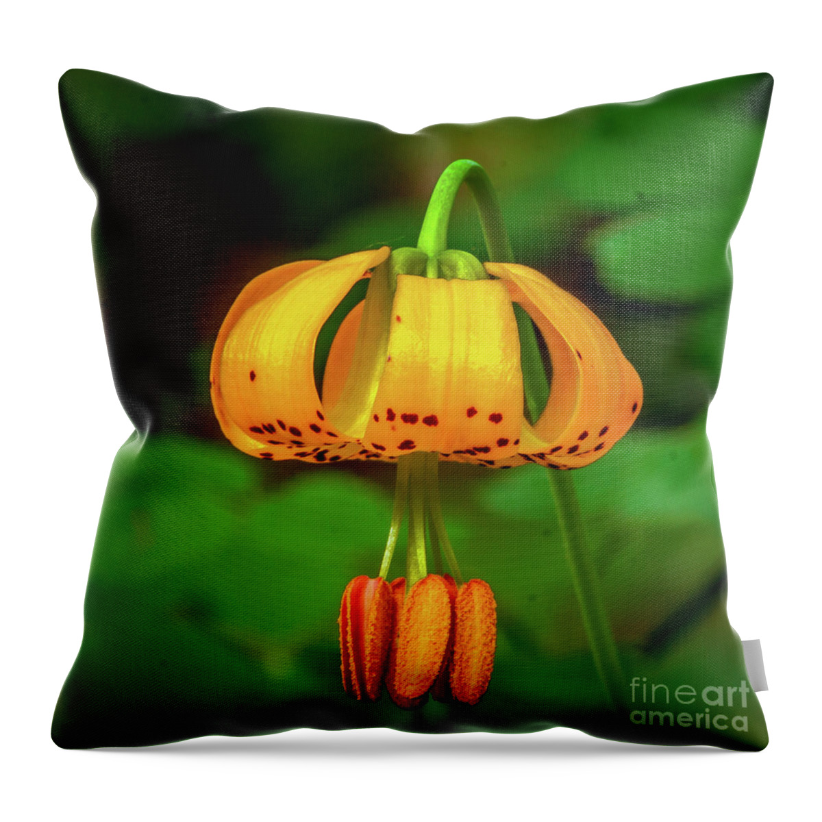 Wild Flowers Throw Pillow featuring the photograph Bright Tiger Lily Macro by Robert Bales