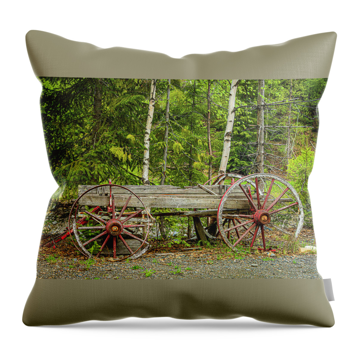 Landscapes Throw Pillow featuring the photograph Broken Wagon by Claude Dalley