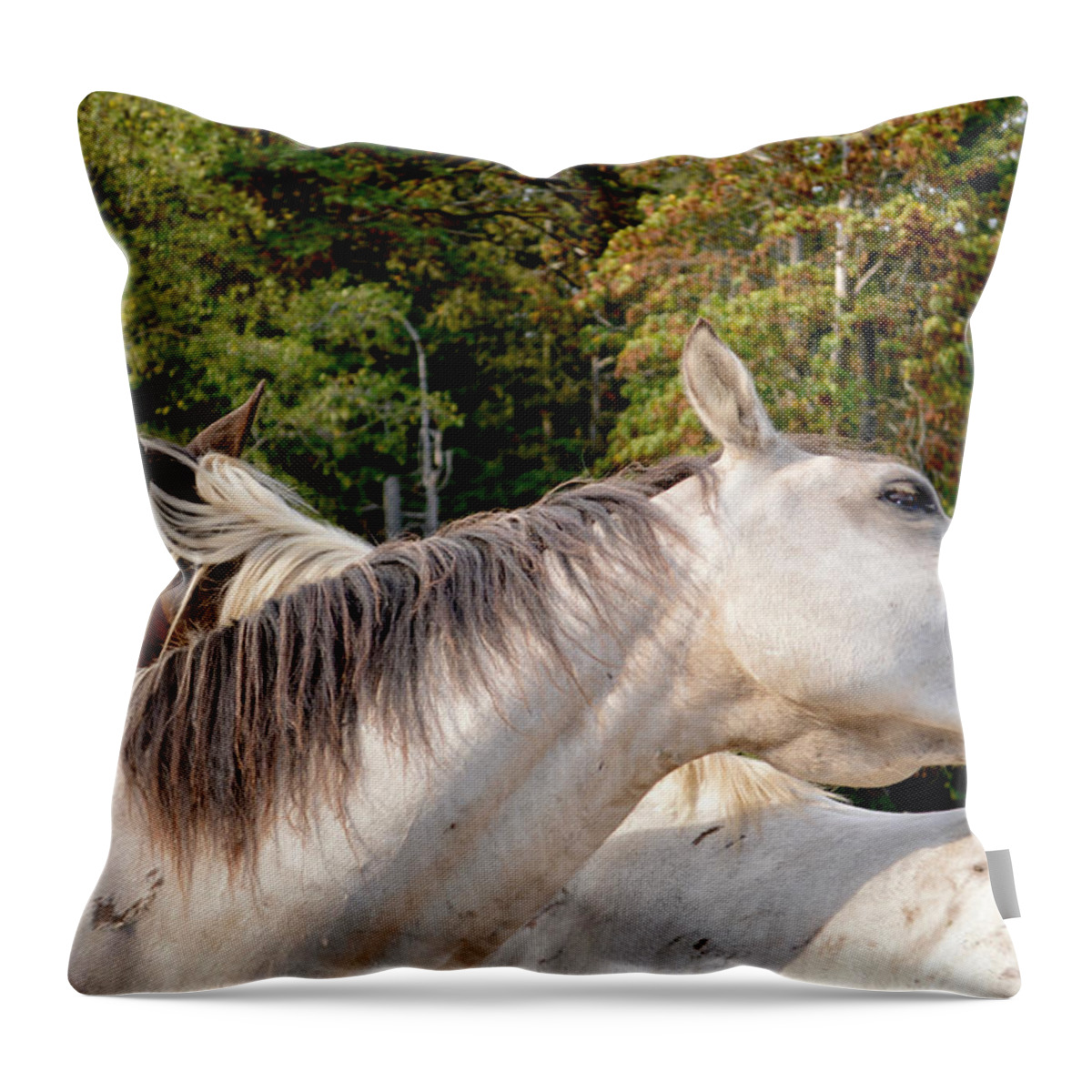 Horse Love Throw Pillow featuring the photograph Bromance by Listen To Your Horse