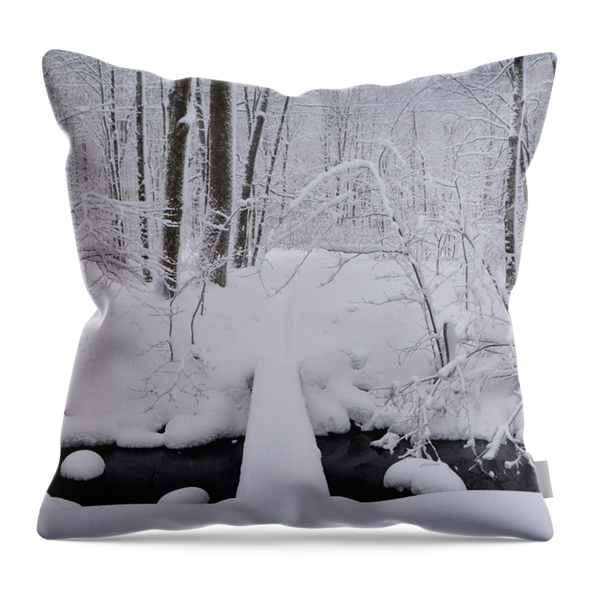 Bromley Brook With Snow Throw Pillow featuring the photograph Bromley Brook with Snow 3 by Raymond Salani III