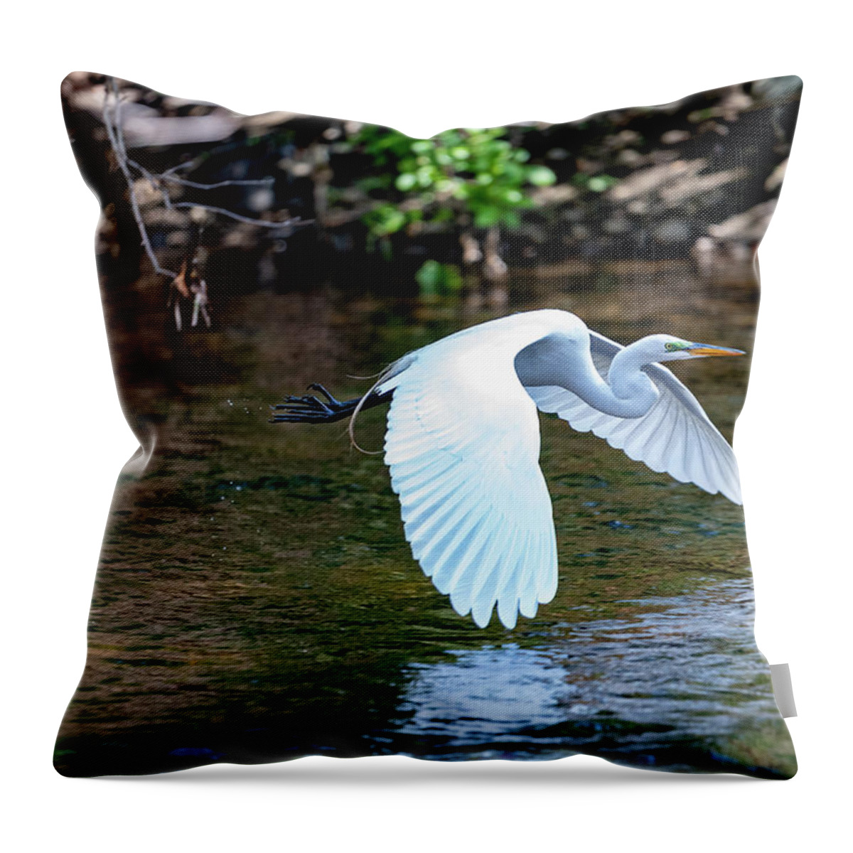Bronx River Throw Pillow featuring the photograph Bronx River Great Egret by Kevin Suttlehan